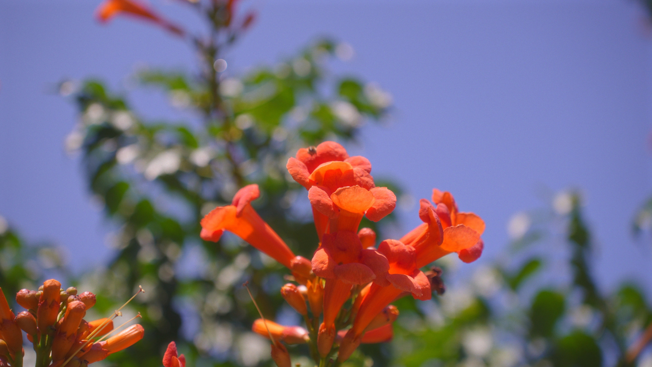 Сергей и Татьяна. Агата Акварель видеограф Сочи Краснодар