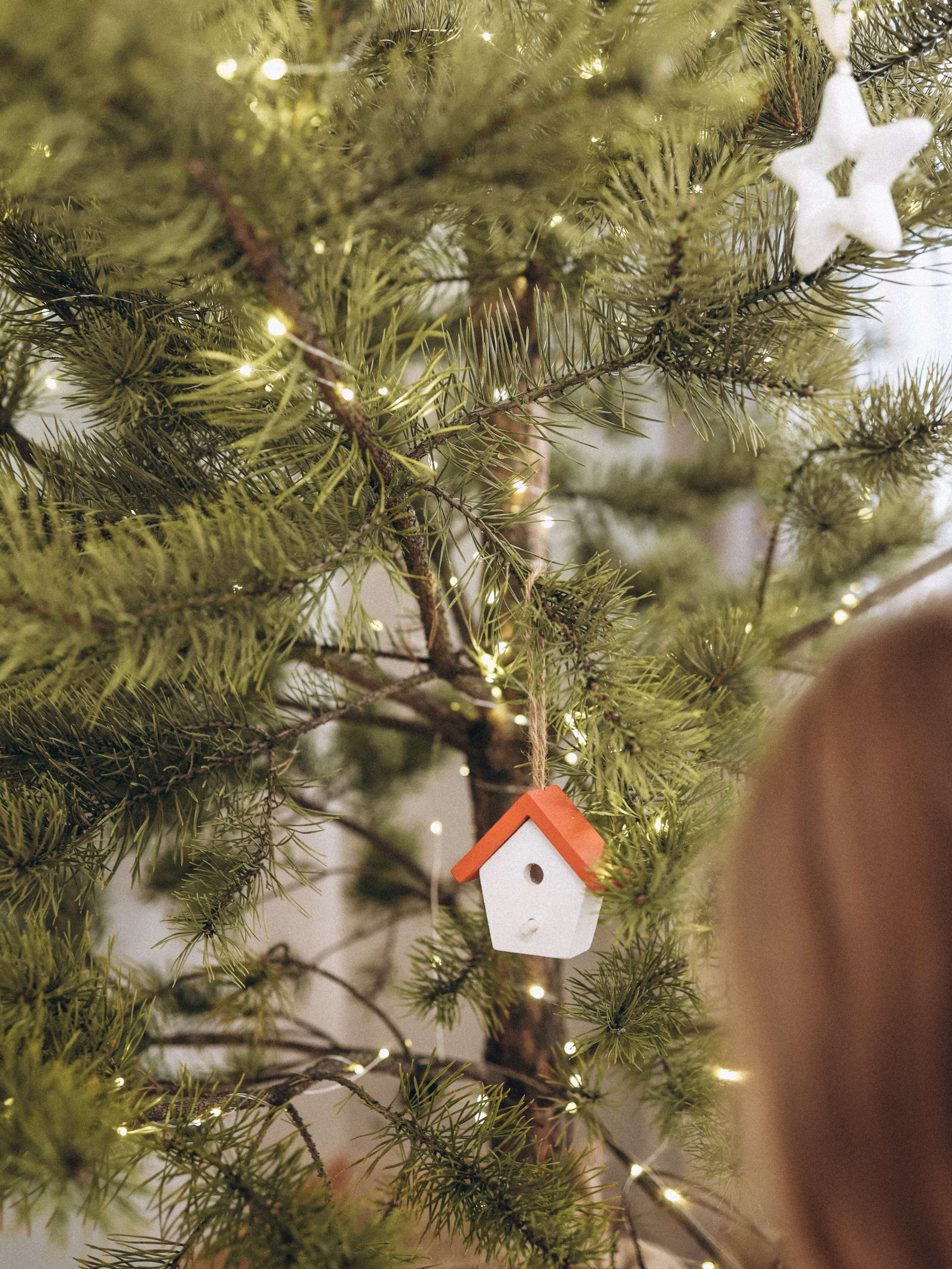 Мандариновое настроение. Семейный и детский фотограф в  г. Екатеринбурге Холодова Юлия