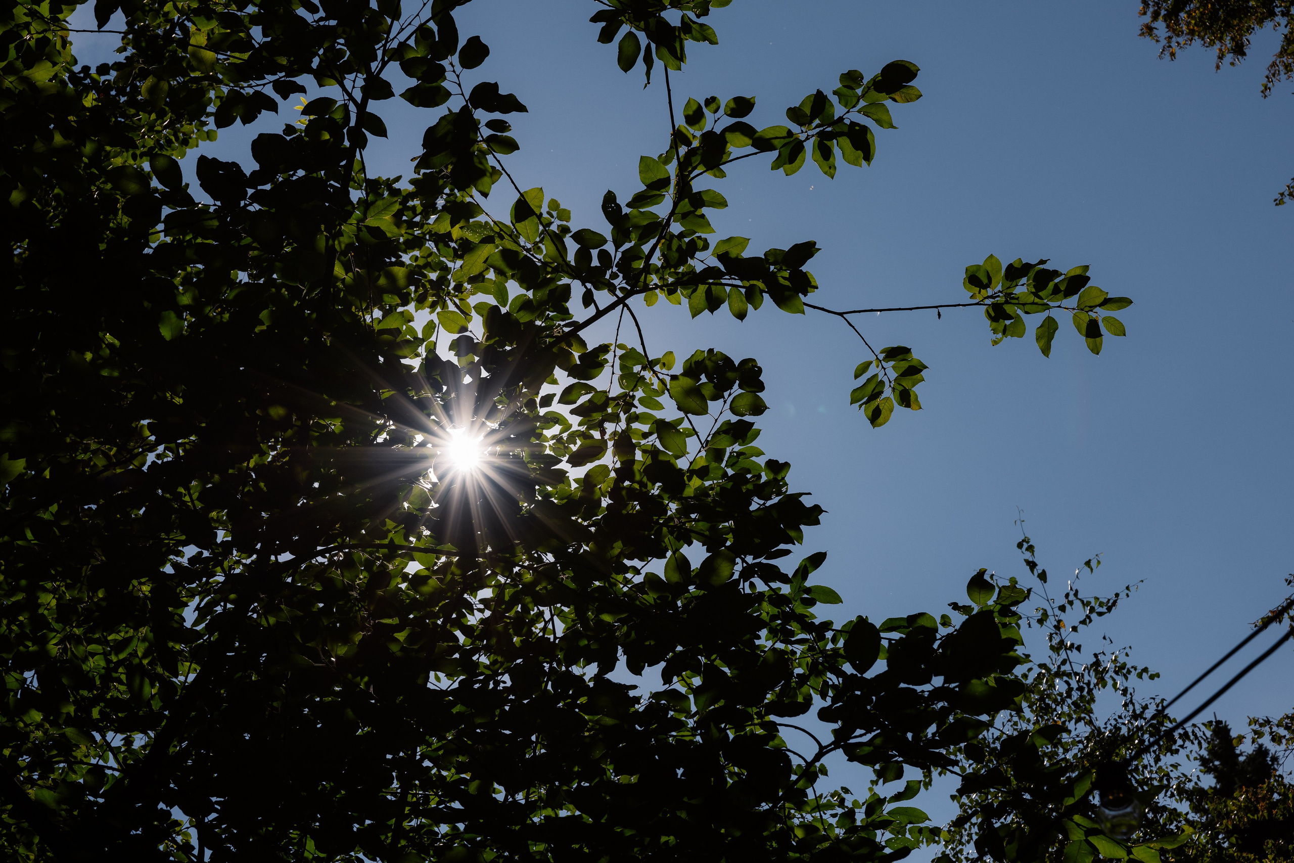 Мария & Александр. RETOUCH-HOUSE