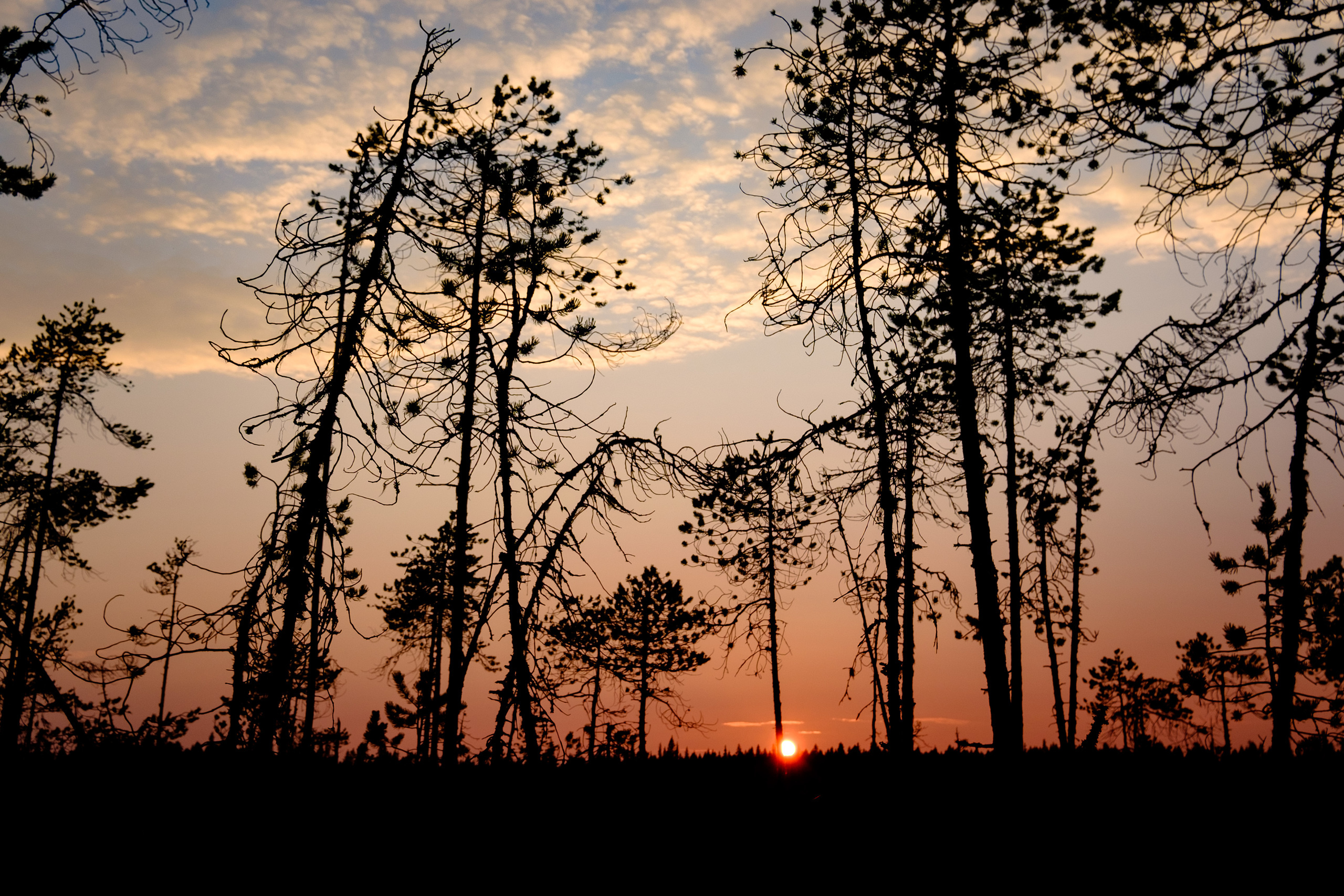Путешествия. Семейный и детский фотограф в Москве Владимир Палт