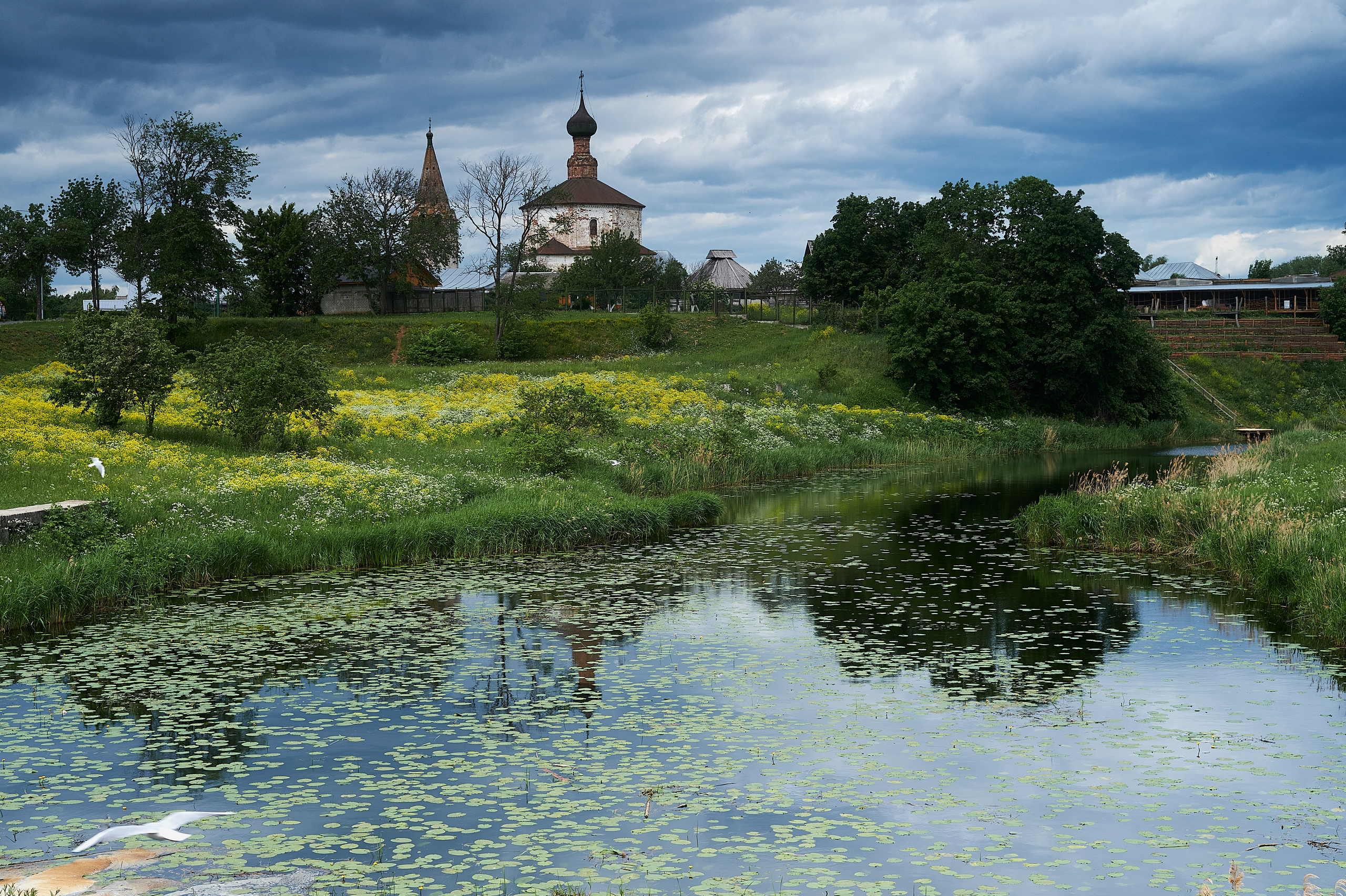 Путешествия. Семейный и детский фотограф в Москве Владимир Палт