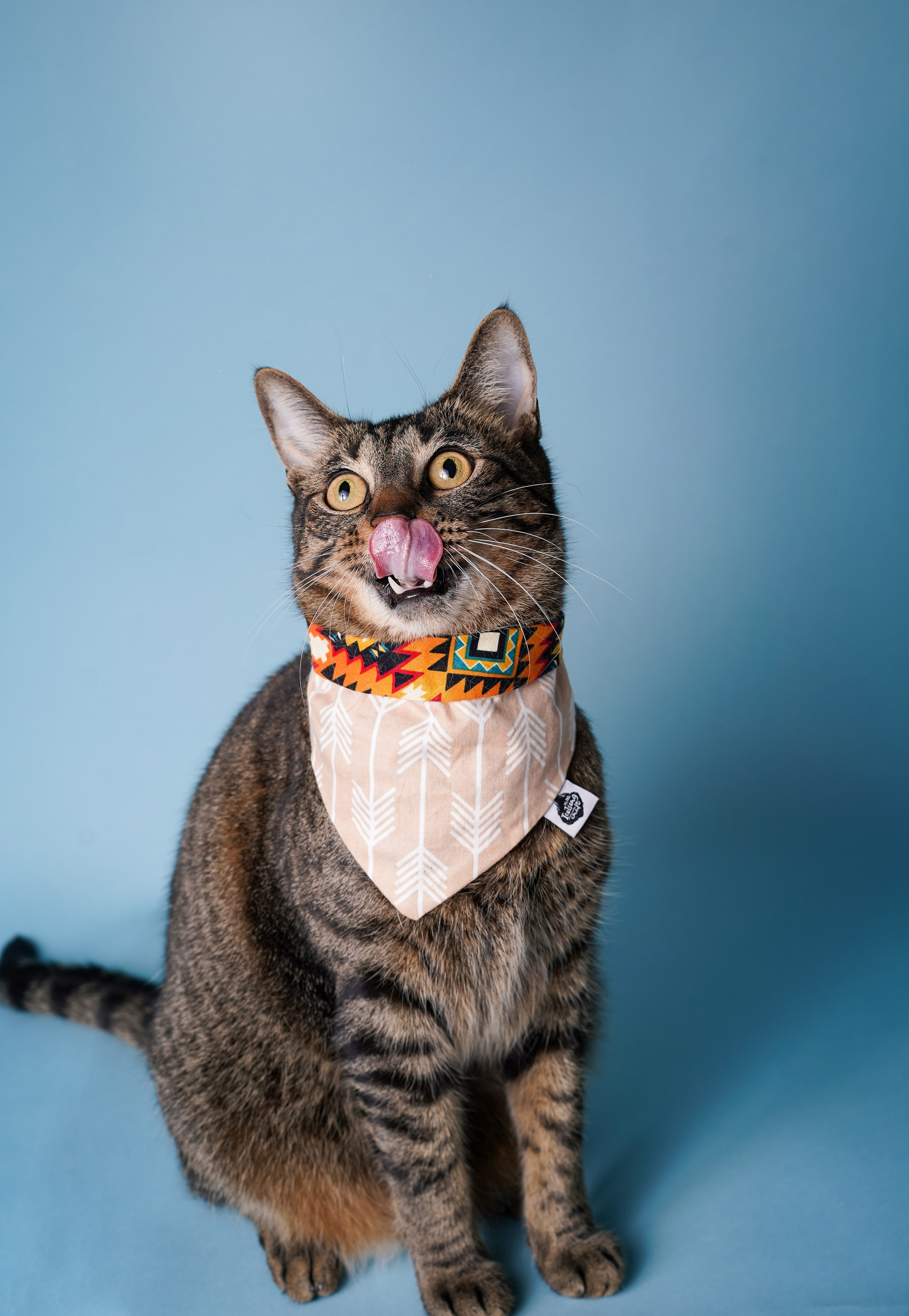 Маффин и Сэм. Фотограф-анималист в Санкт-Петербурге Яна Мартынова