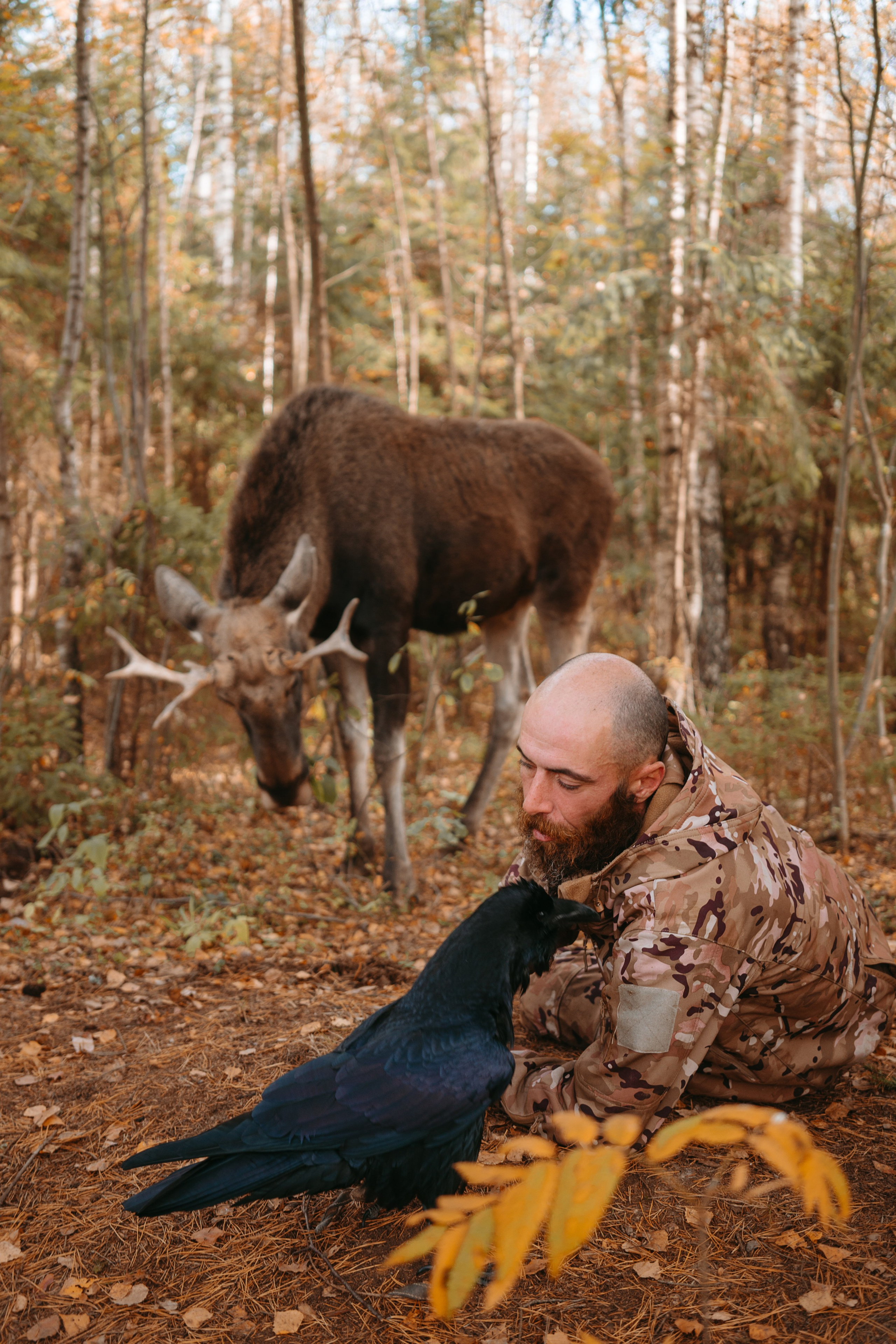 Художественные. Главная
