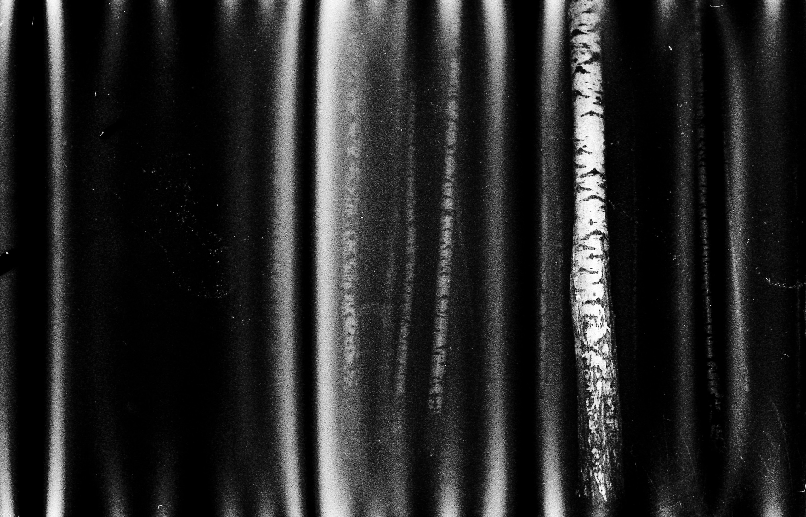 Анжелика Кондратьева