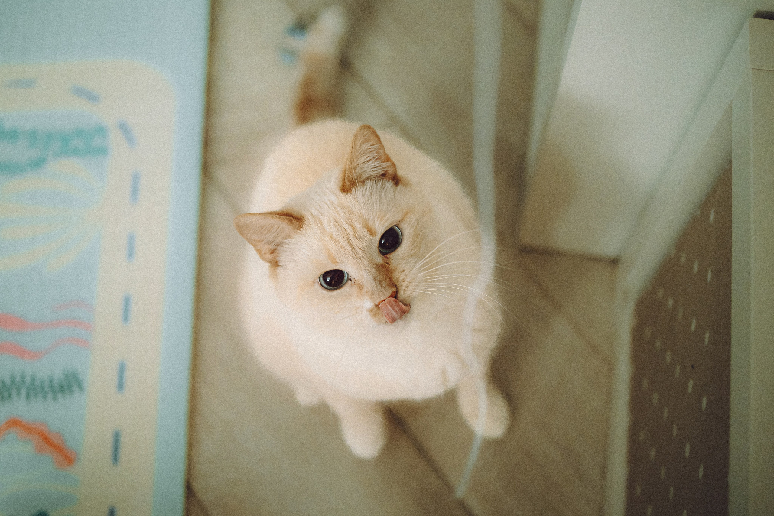 Топик и его семья