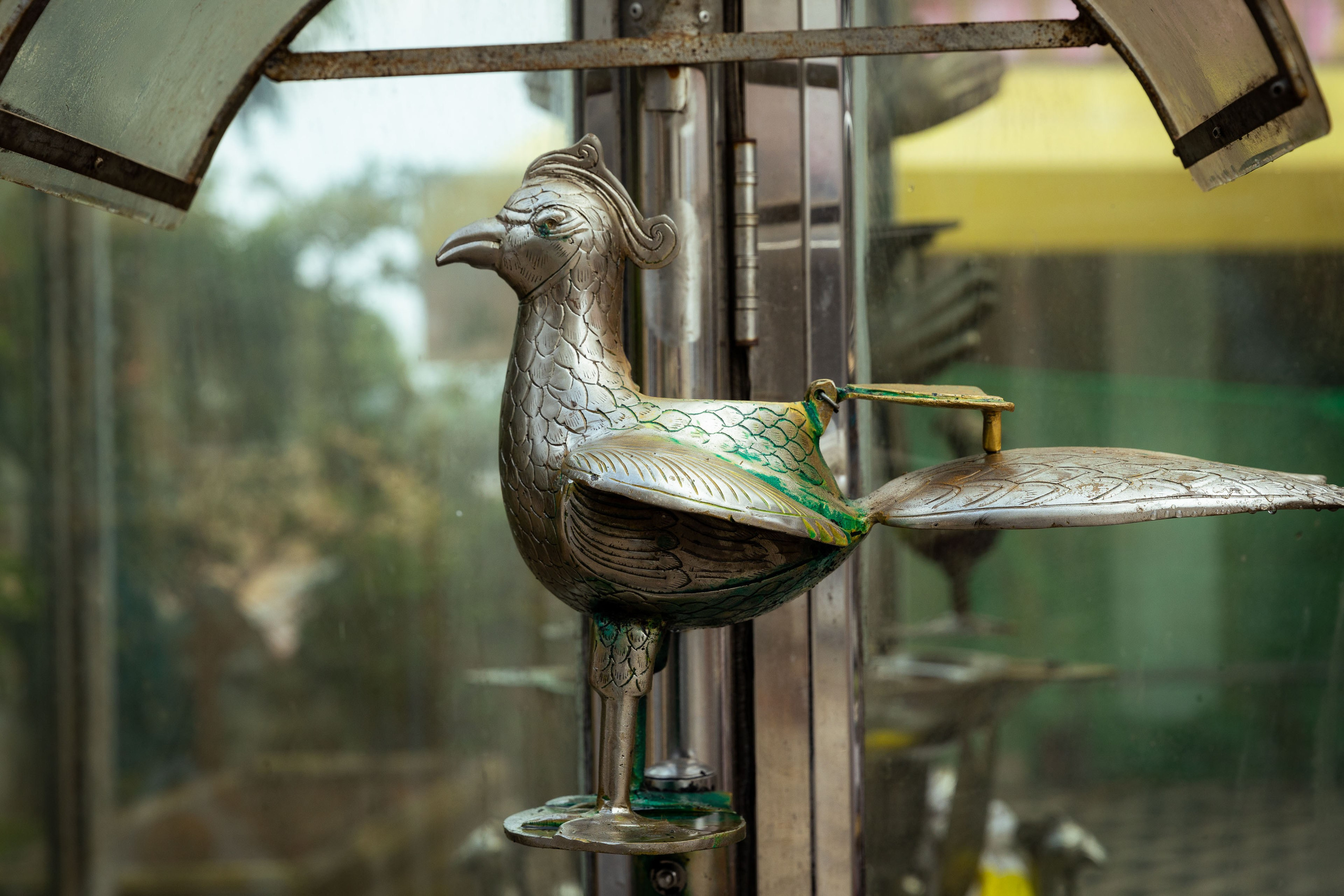 Шри-Ланка (весна 2024). Фотограф Виноградов Константин