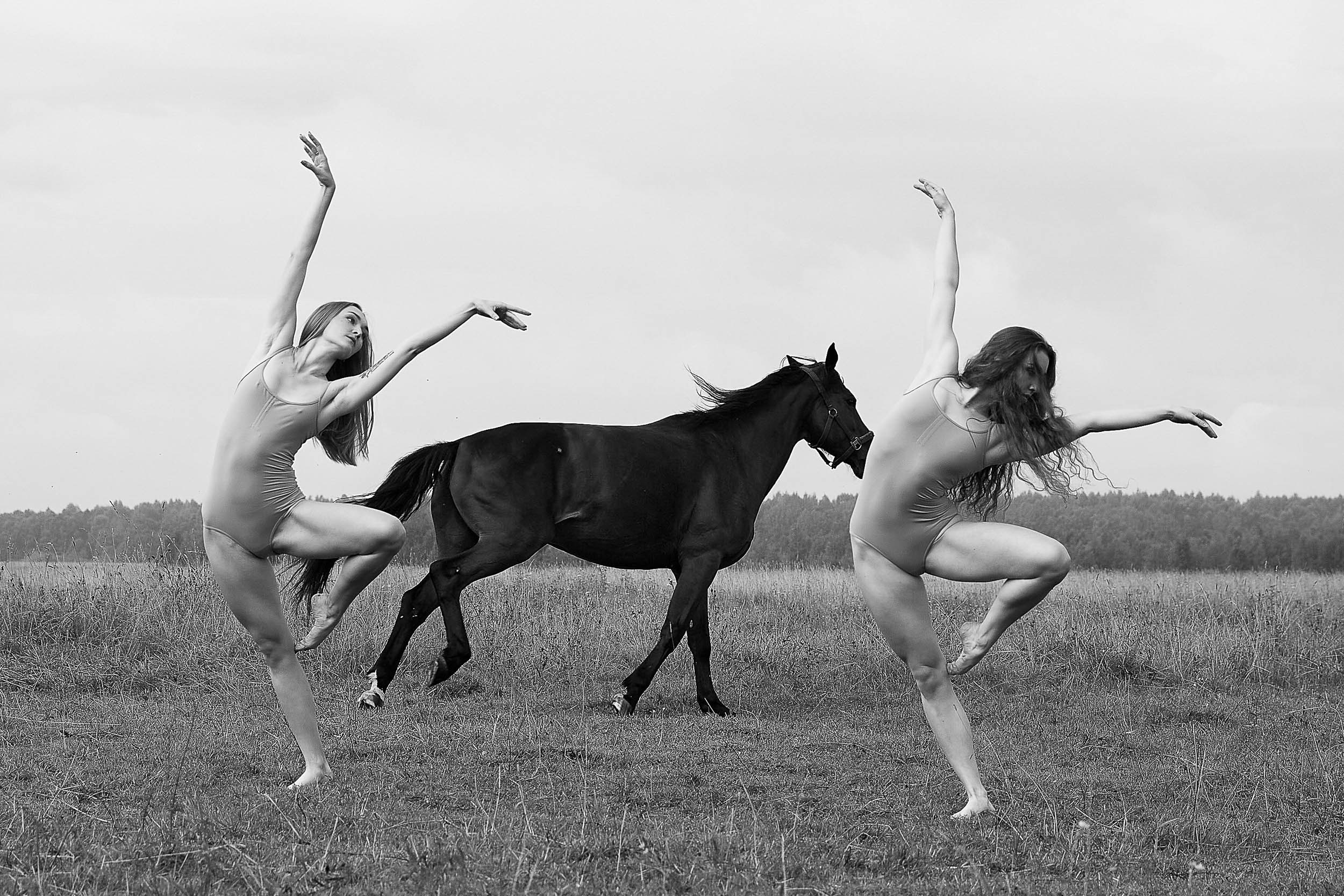 Фотопроекты и съемки на природе, с лошадьми, самолетами и авто. Выездная фотосессия. Фотограф, фотопроекты Михаила Семенова в Ярославле. Фотошкола