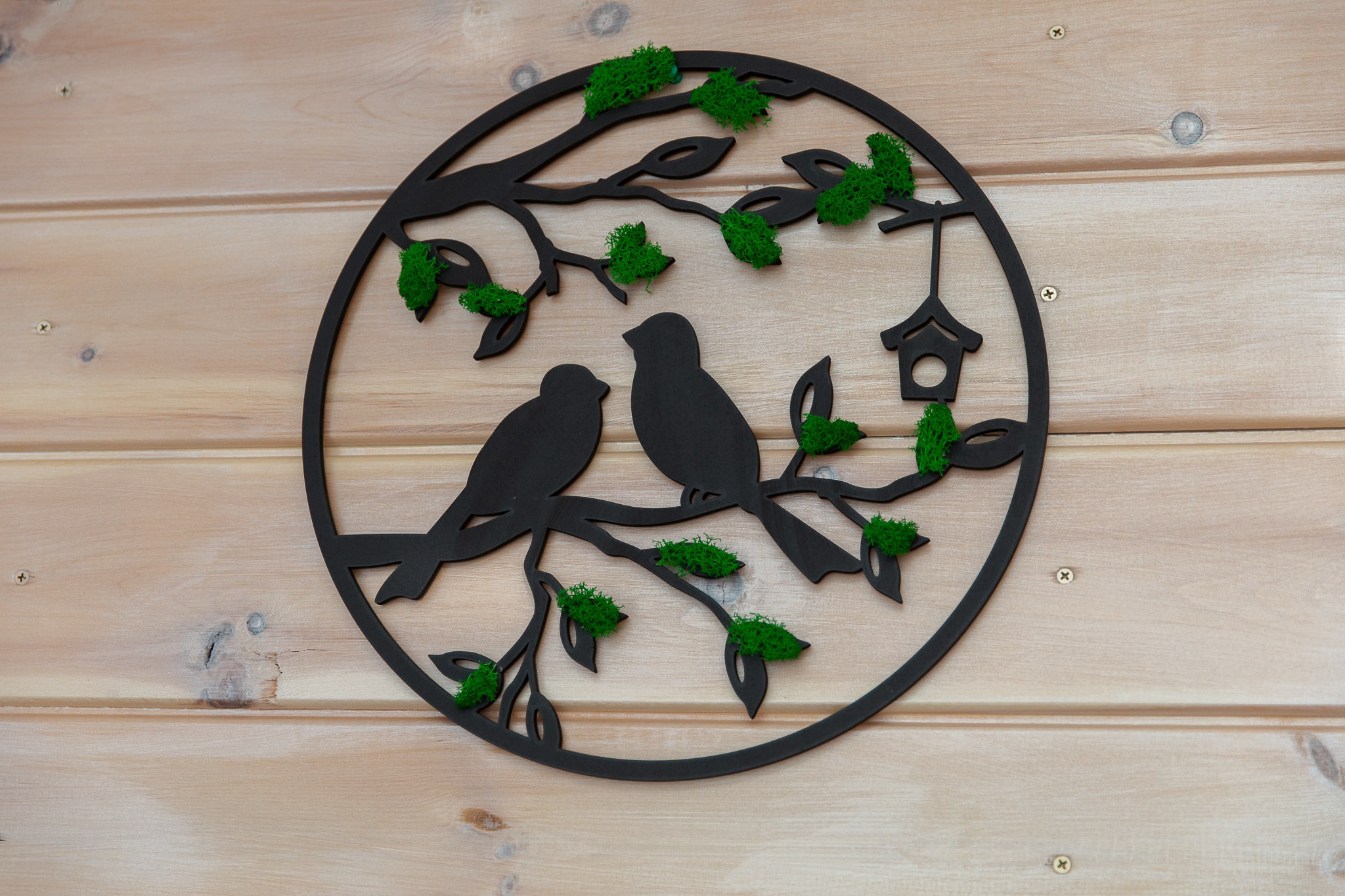 День рождения Виолетты 12 лет. Фотограф Татьяна Генева