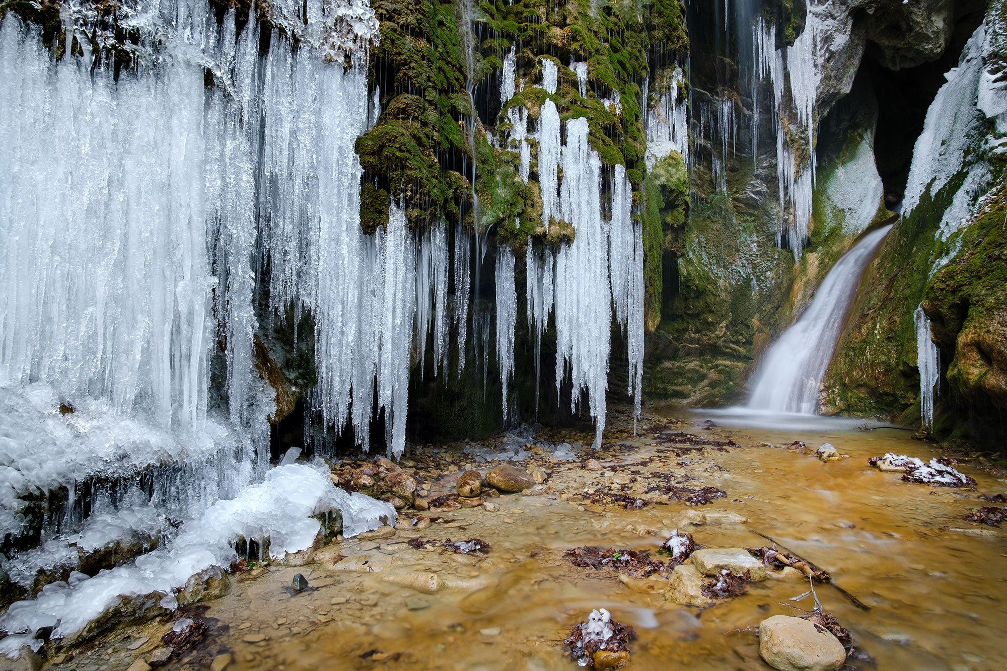 Природа — разное