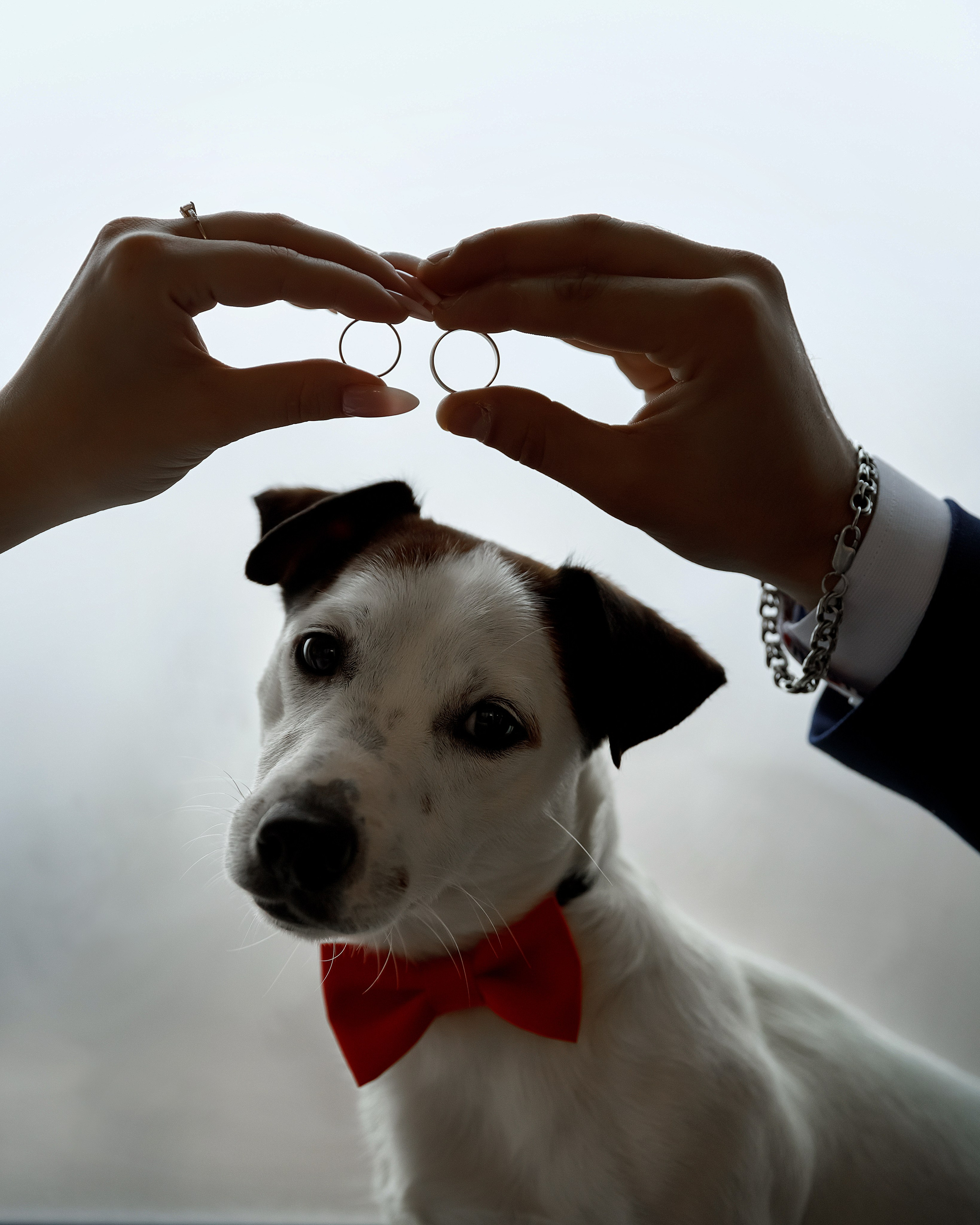 Игорь и Дарья. Свадебный фотограф, крещение, венчание СПБ, Белгород Анна Коршунова