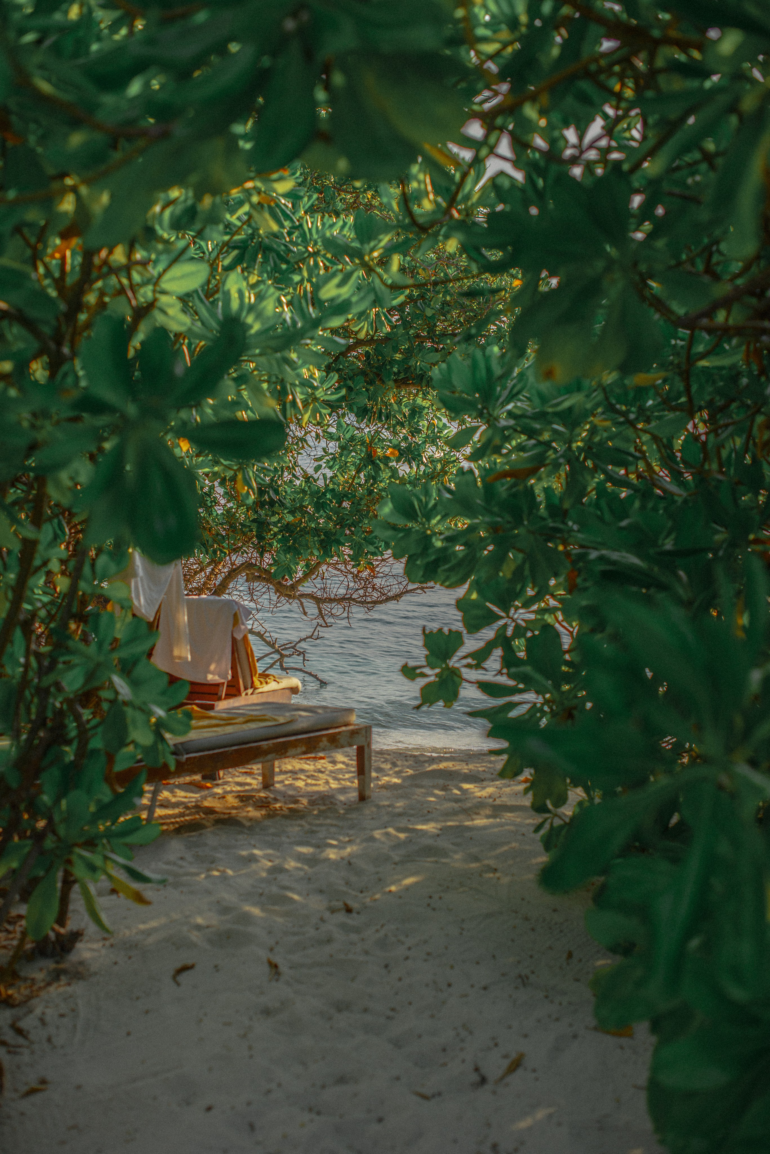 Мальдивы. Фотограф Алиса Аспер