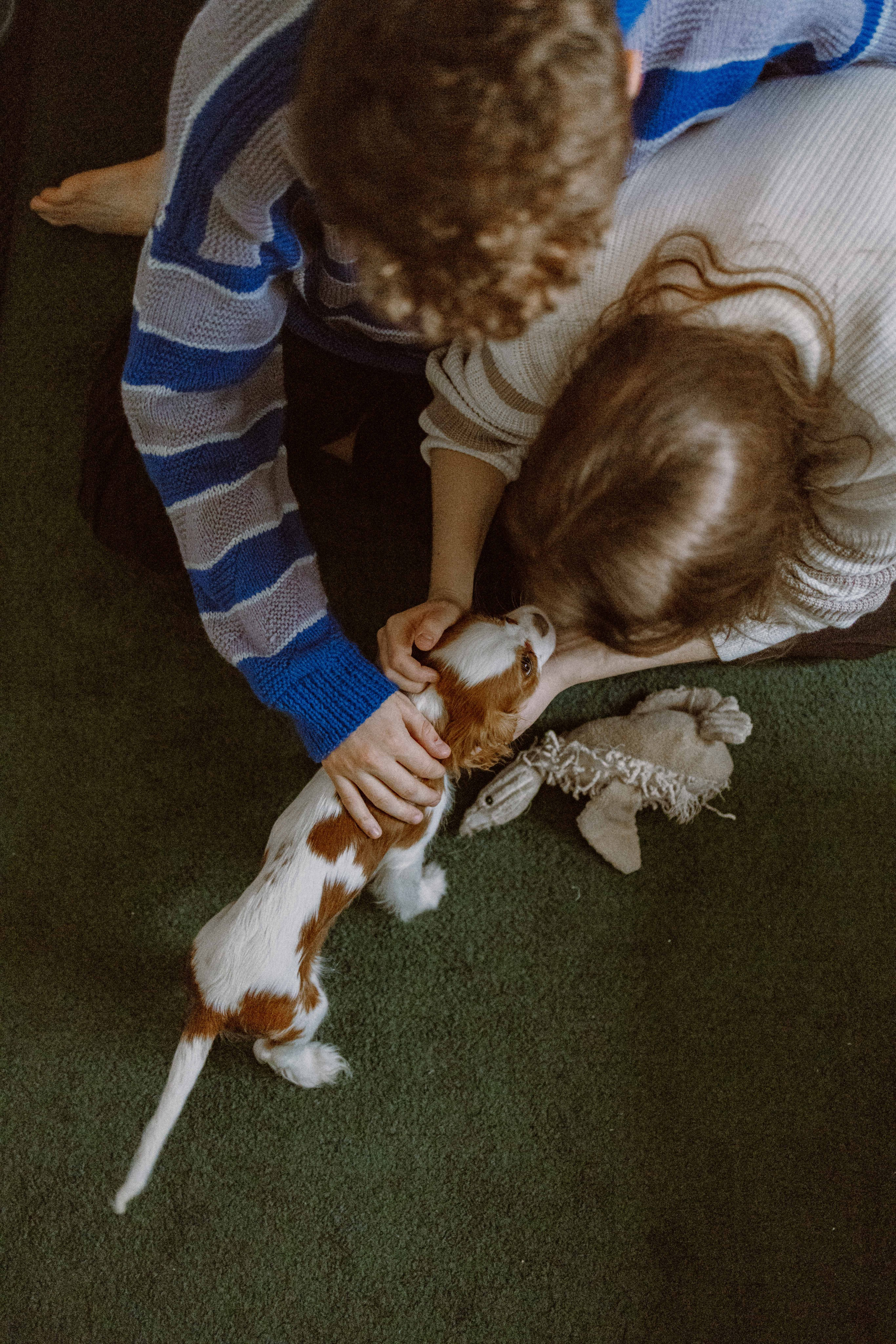 Юля и Кипр. Фотограф-анималист в Москве Лера Черноног