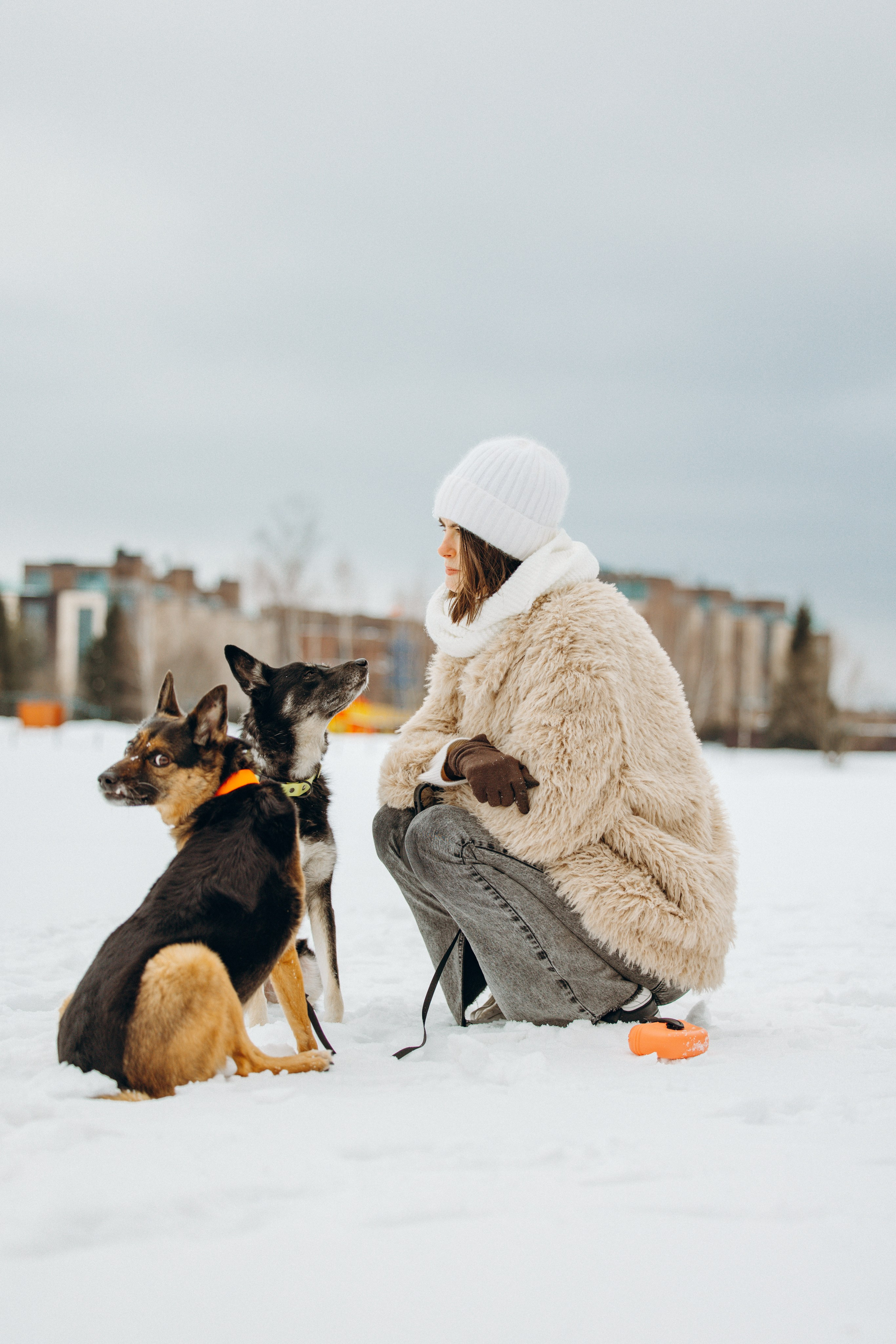 Ника, Матиша и Герда. Фотограф-анималист в Москве Лера Черноног