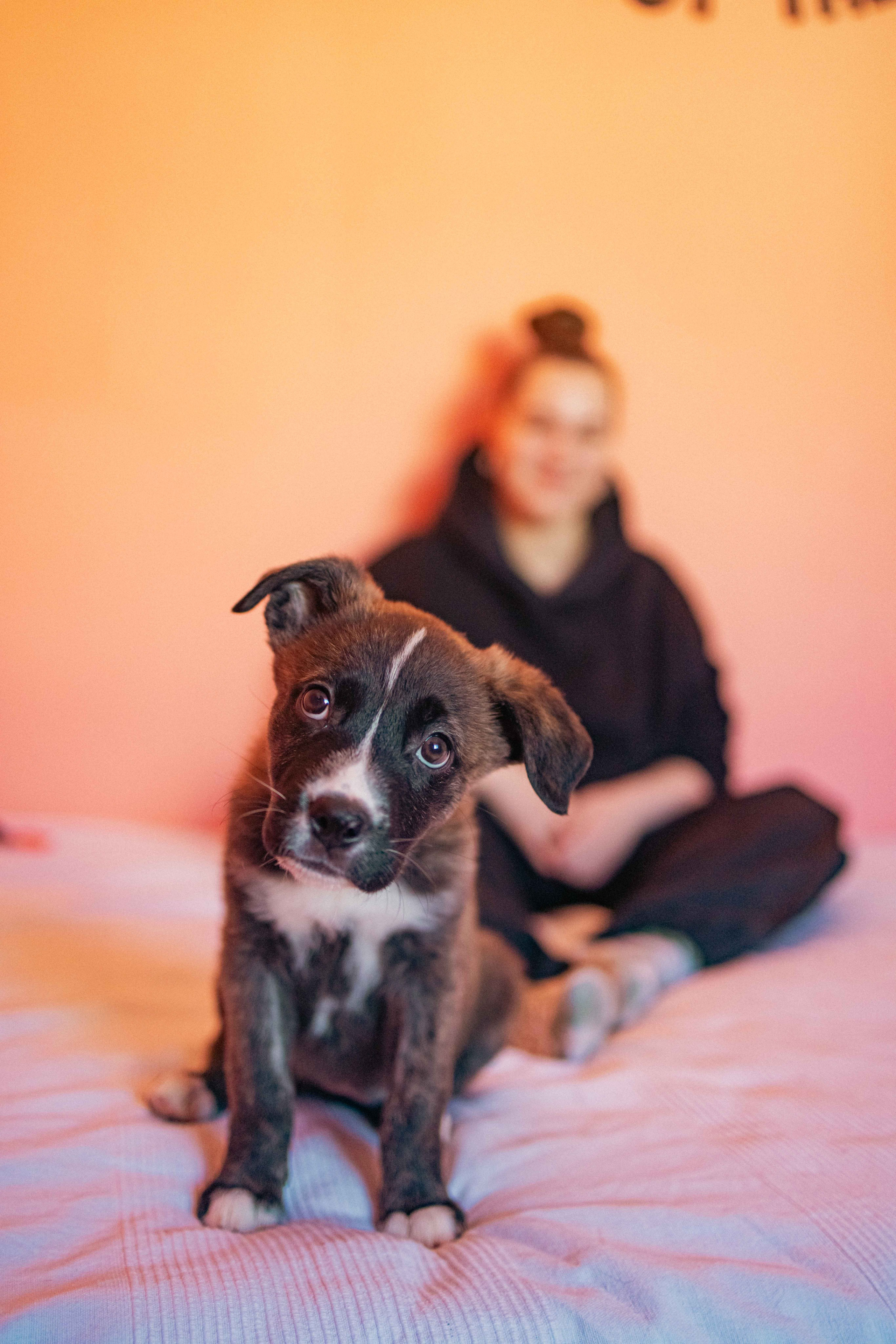 Гайка. Фотограф-анималист в Москве Лера Черноног