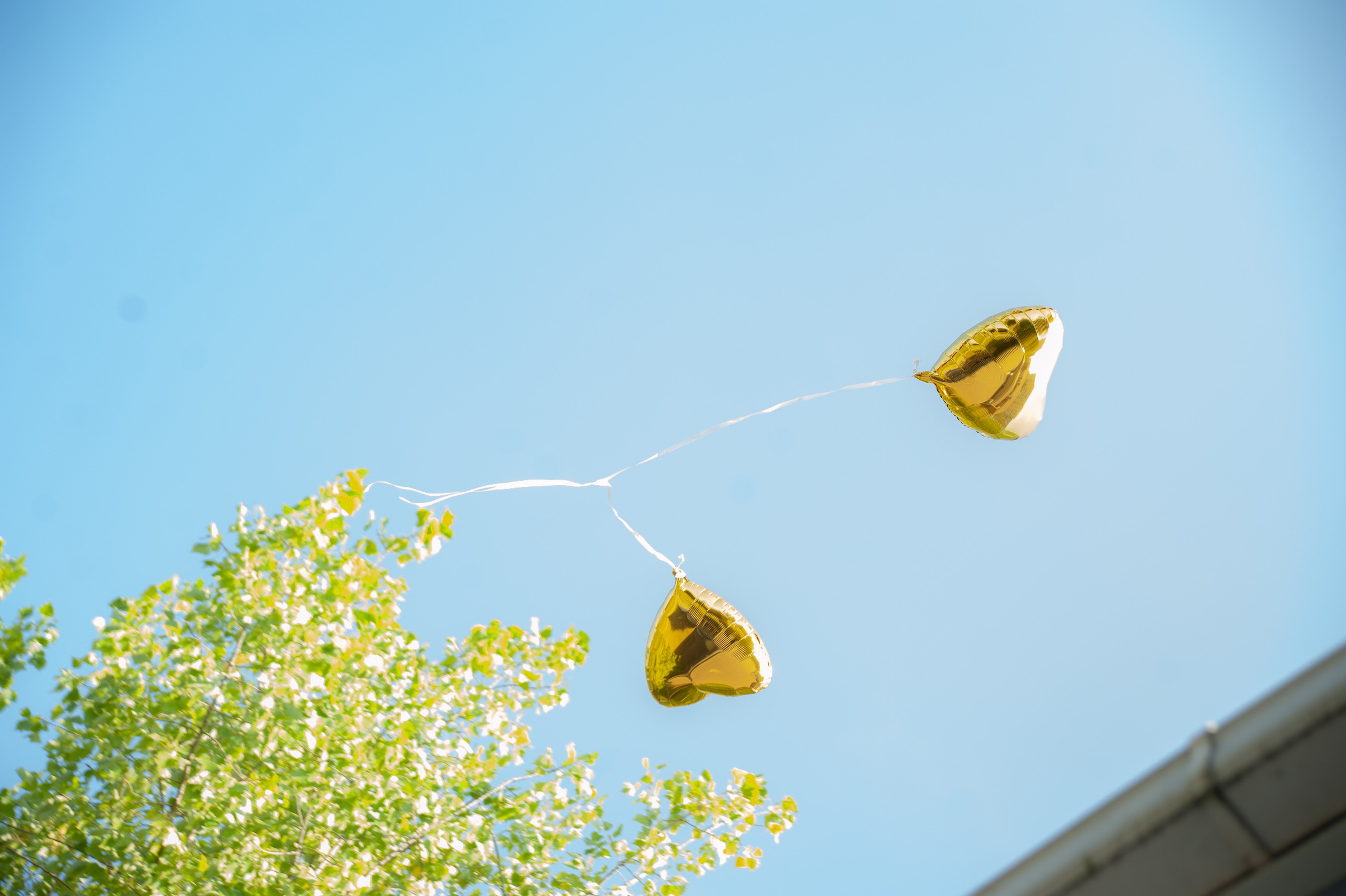 Свадебные съемки. Семейный фотограф Анна Лищук г. Таганрог