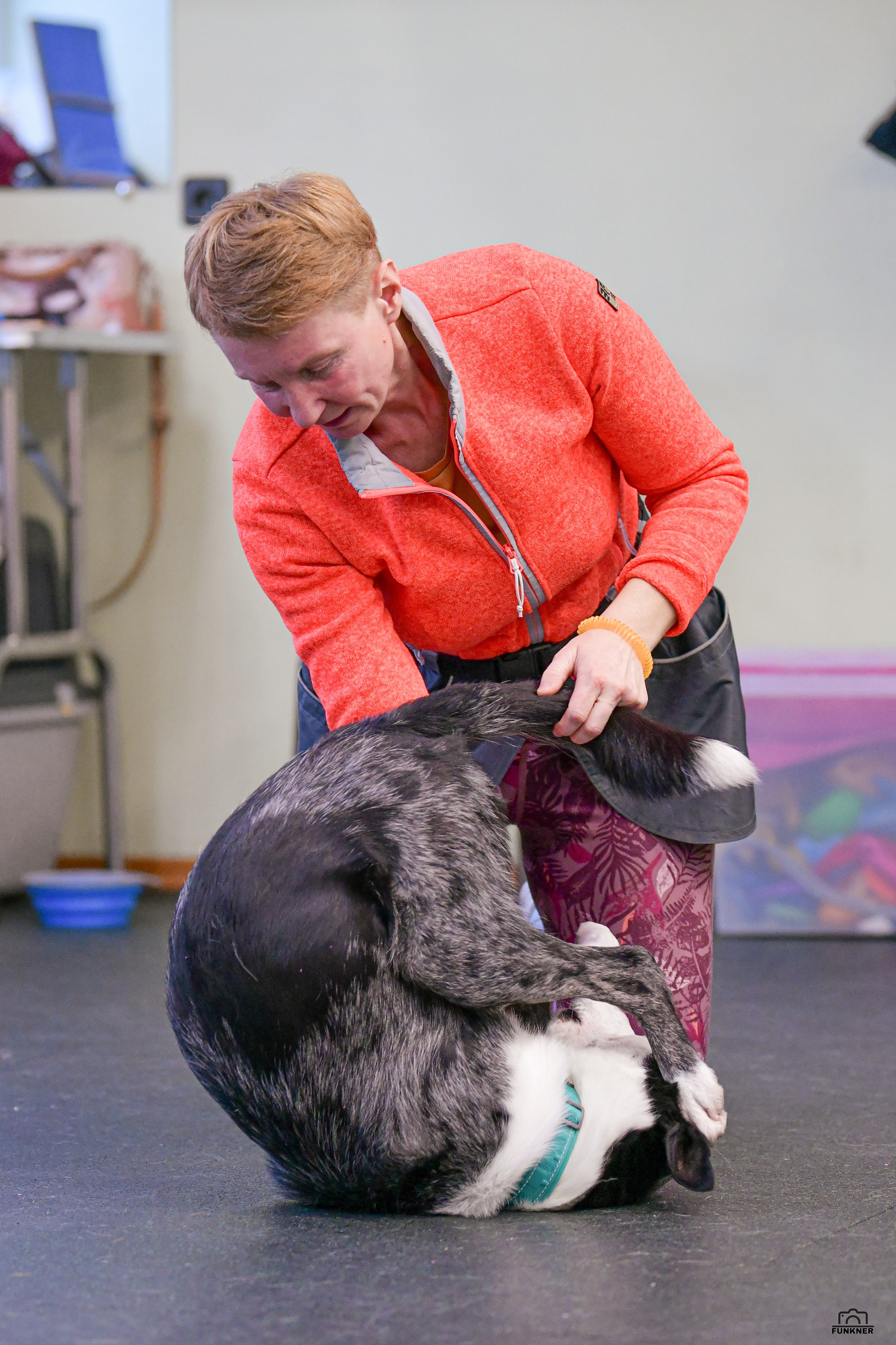 Кинологический клуб «Бодрый хвост». Свой взгляд через объектив