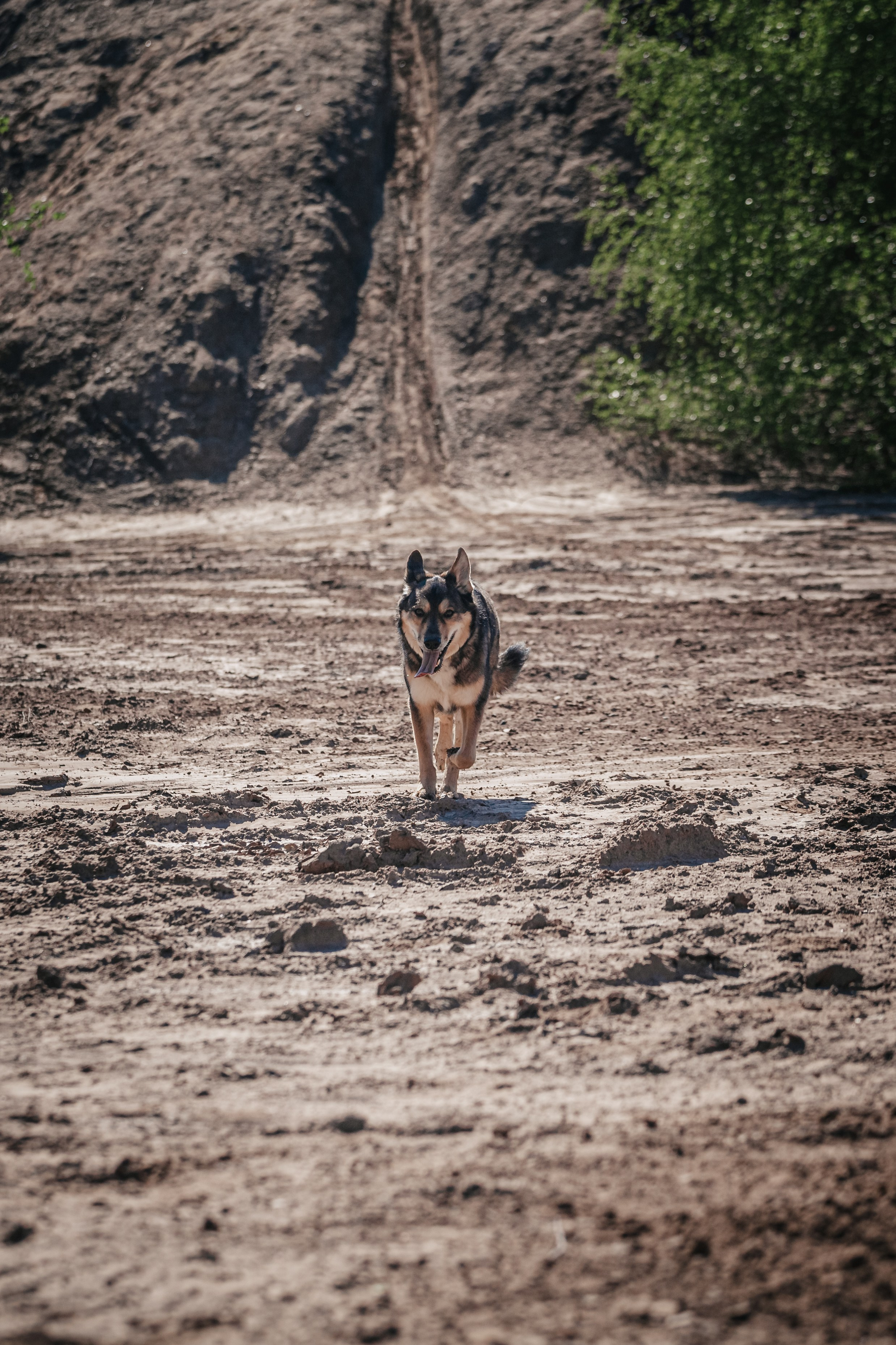 Кондуки. Фотограф-анималист Татьяна Степанова