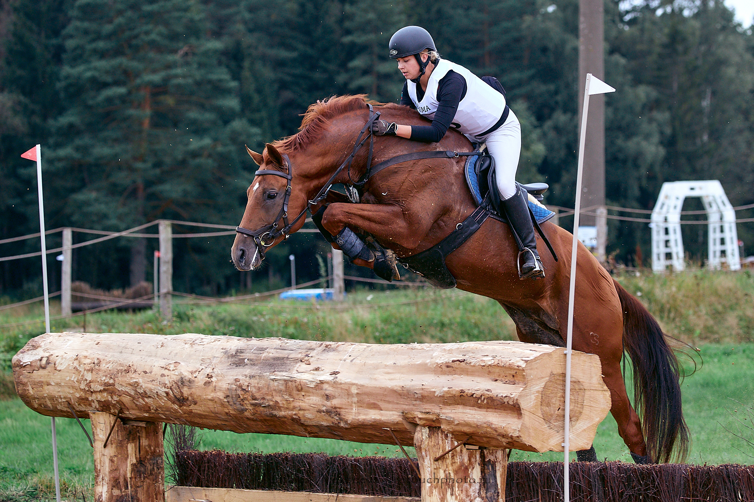Кросс Чемпионата МО по троеборью, Maxima Stables | 08'2020. Репортажный фотограф и ретушер в Москве Наталья Алексеева