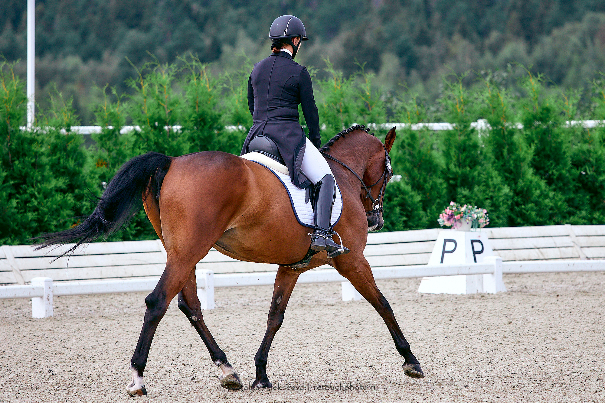 Кубок 1й Конной Армии по троеборью, Maxima Stables | 08'2020. Репортажный фотограф и ретушер в Москве Наталья Алексеева