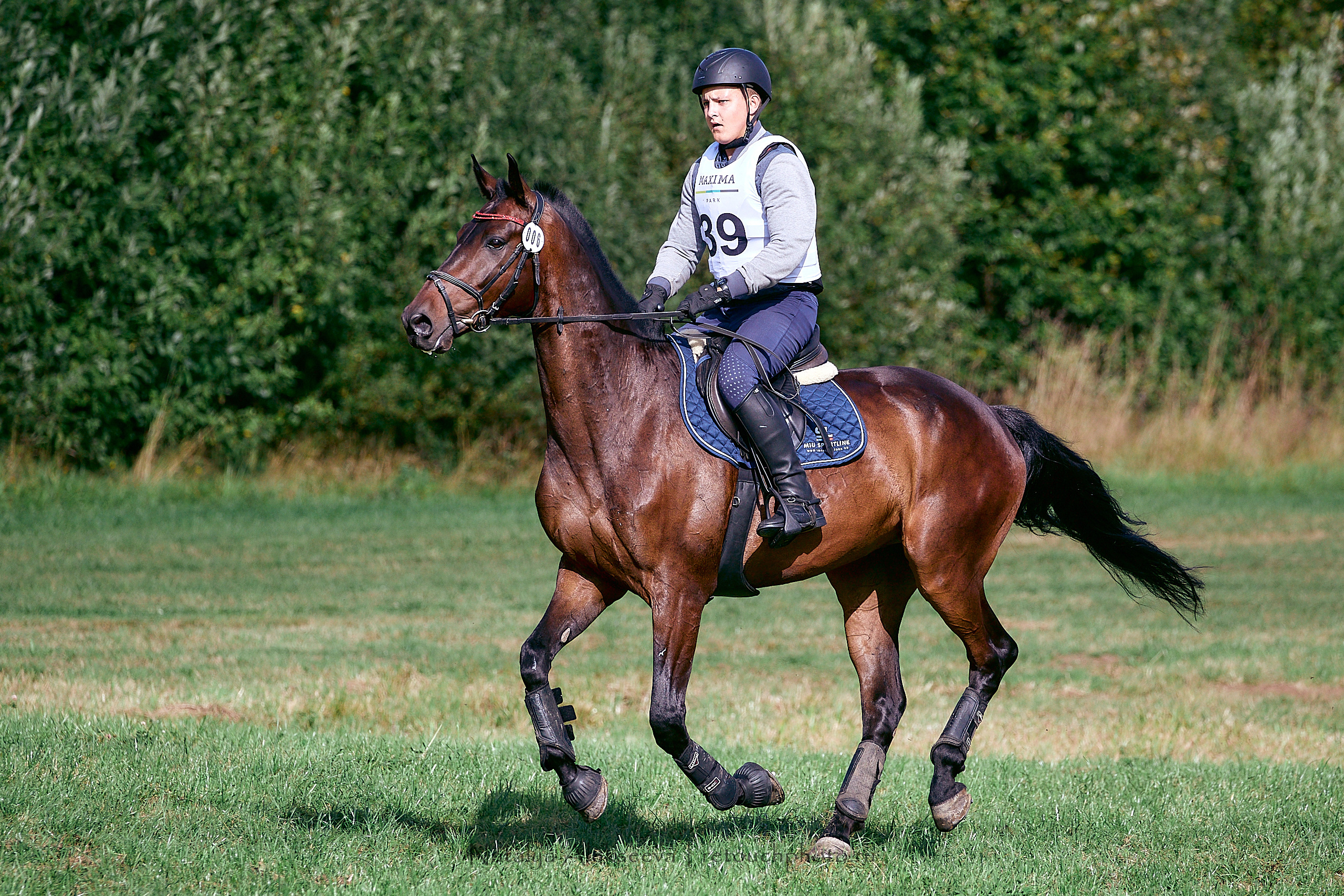 Кросс Чемпионата МО по троеборью, Maxima Stables | 08'2020. Репортажный фотограф и ретушер в Москве Наталья Алексеева