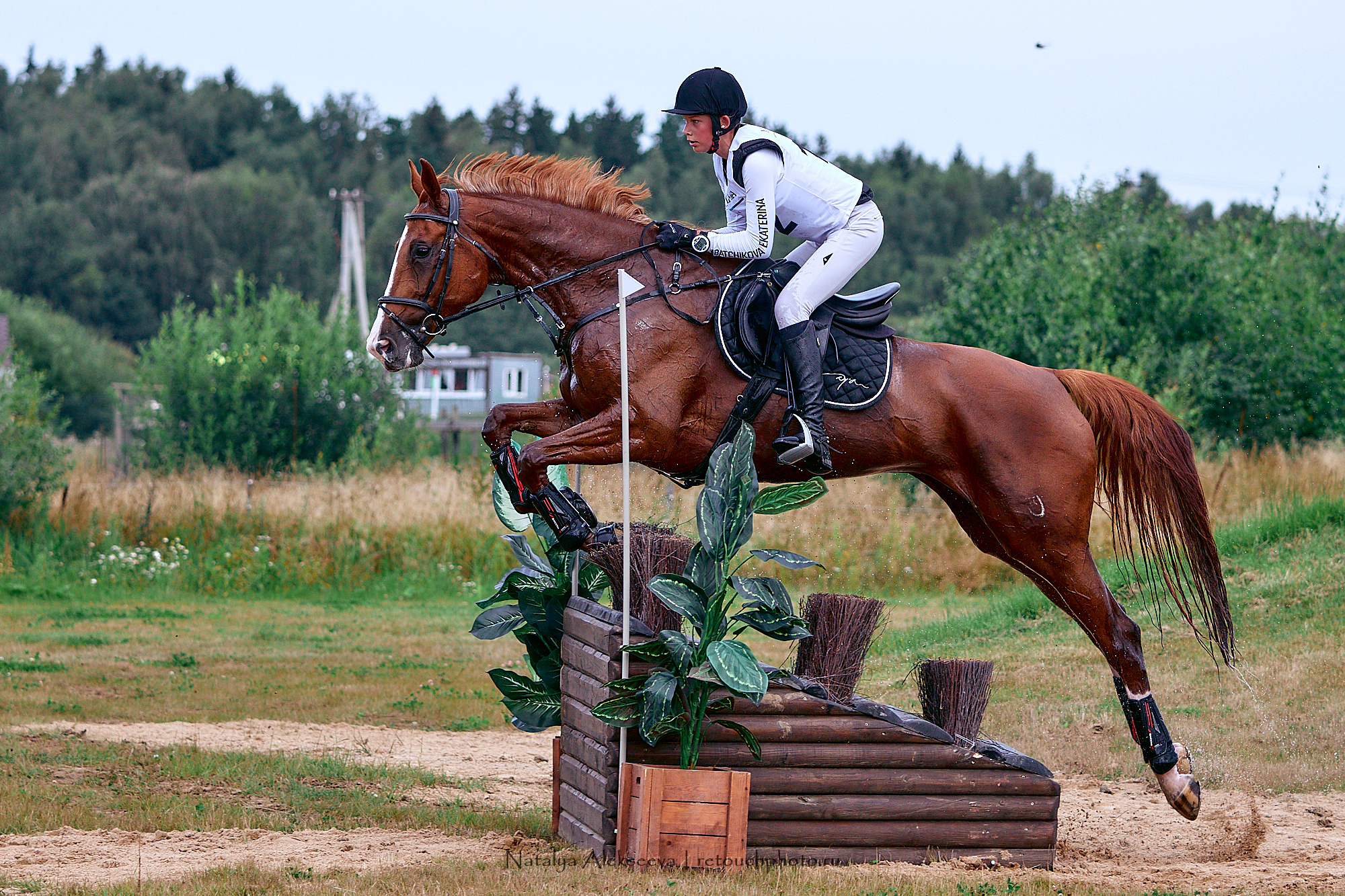 Кубок 1й Конной Армии по троеборью, Maxima Stables | 08'2020. Репортажный фотограф и ретушер в Москве Наталья Алексеева