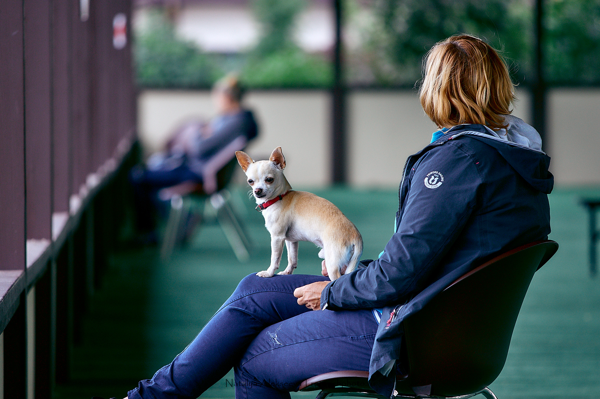 Кубок 1й Конной Армии по троеборью, Maxima Stables | 08'2020. Репортажный фотограф и ретушер в Москве Наталья Алексеева