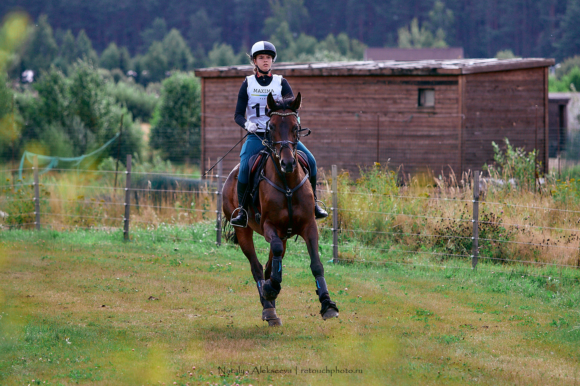 Кубок 1й Конной Армии по троеборью, Maxima Stables | 08'2020. Репортажный фотограф и ретушер в Москве Наталья Алексеева