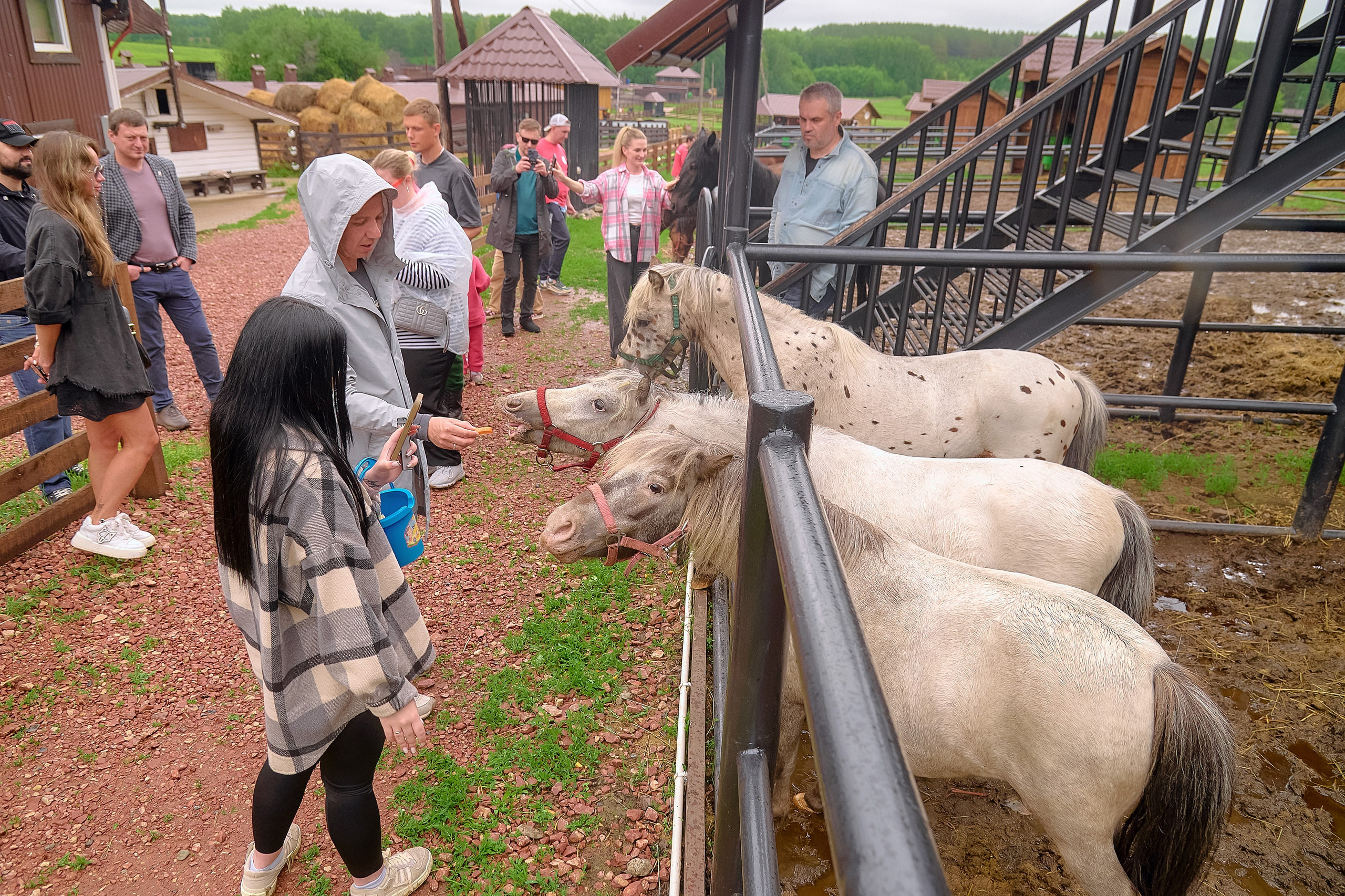 Ранчо «Шарье». Сеть магазинов «Калина-Малина». Фотограф Яковлев Роман — Красноярск