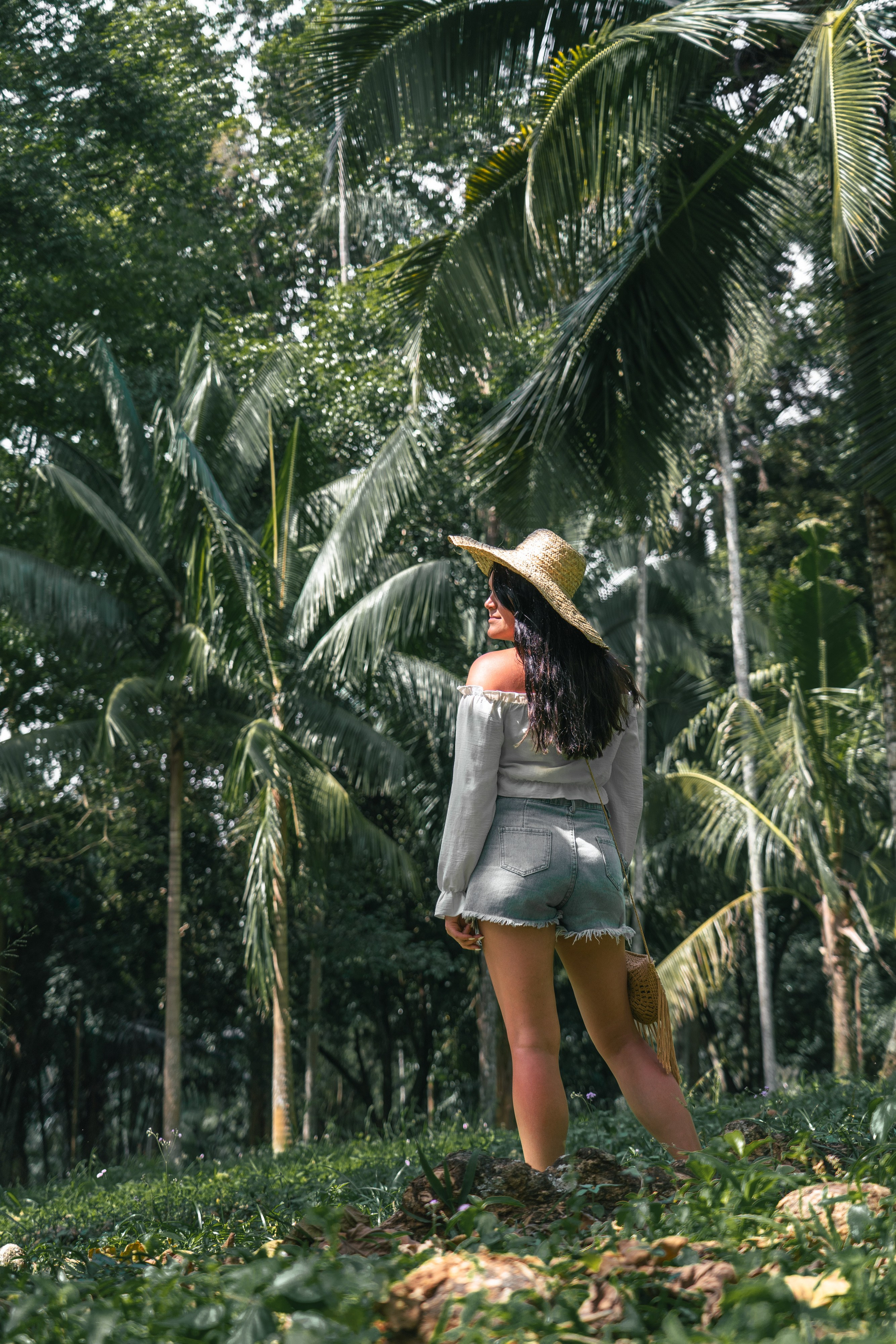 Bathing with elephants in Pinnawala, Botanical Garden