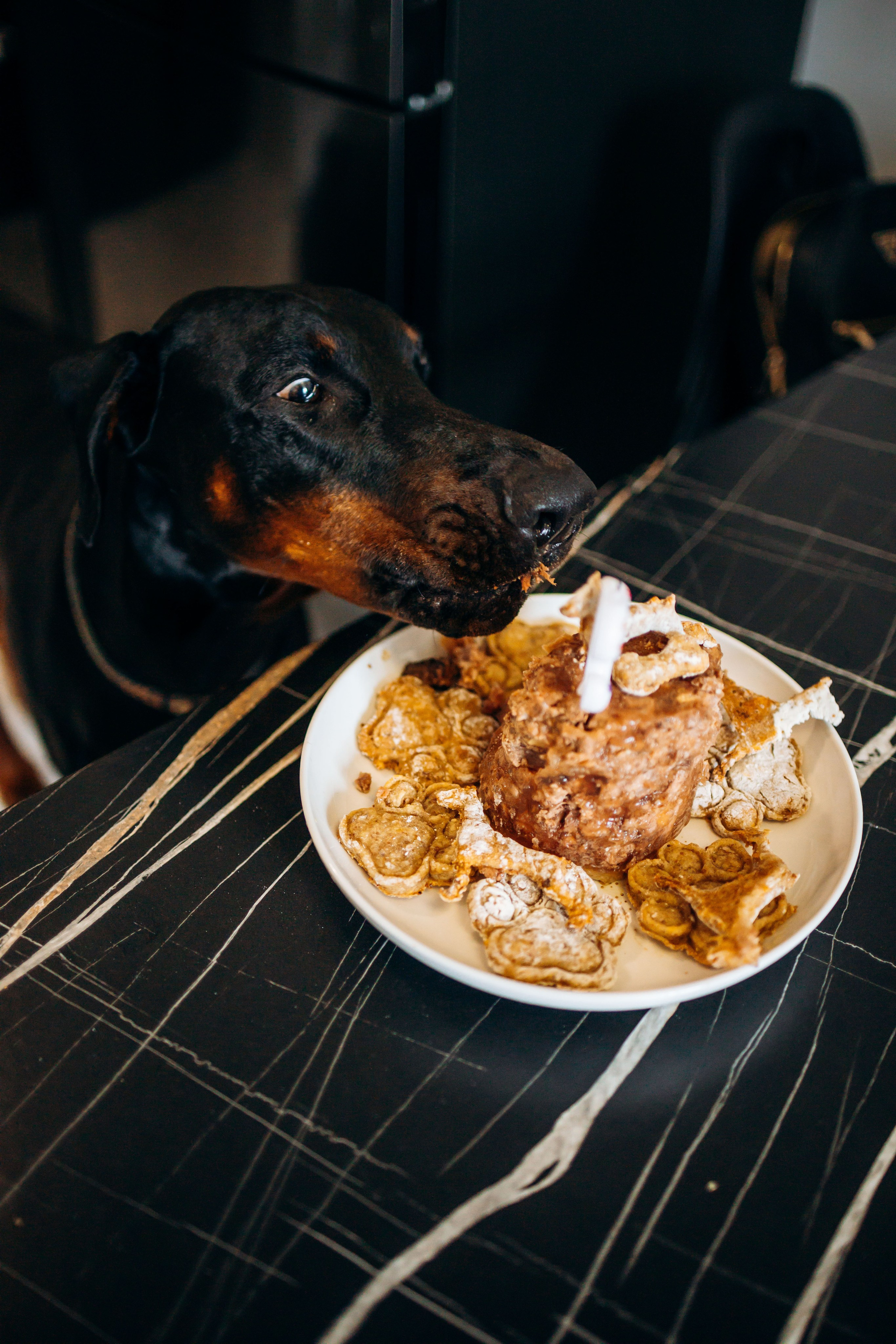 Катя и Конор