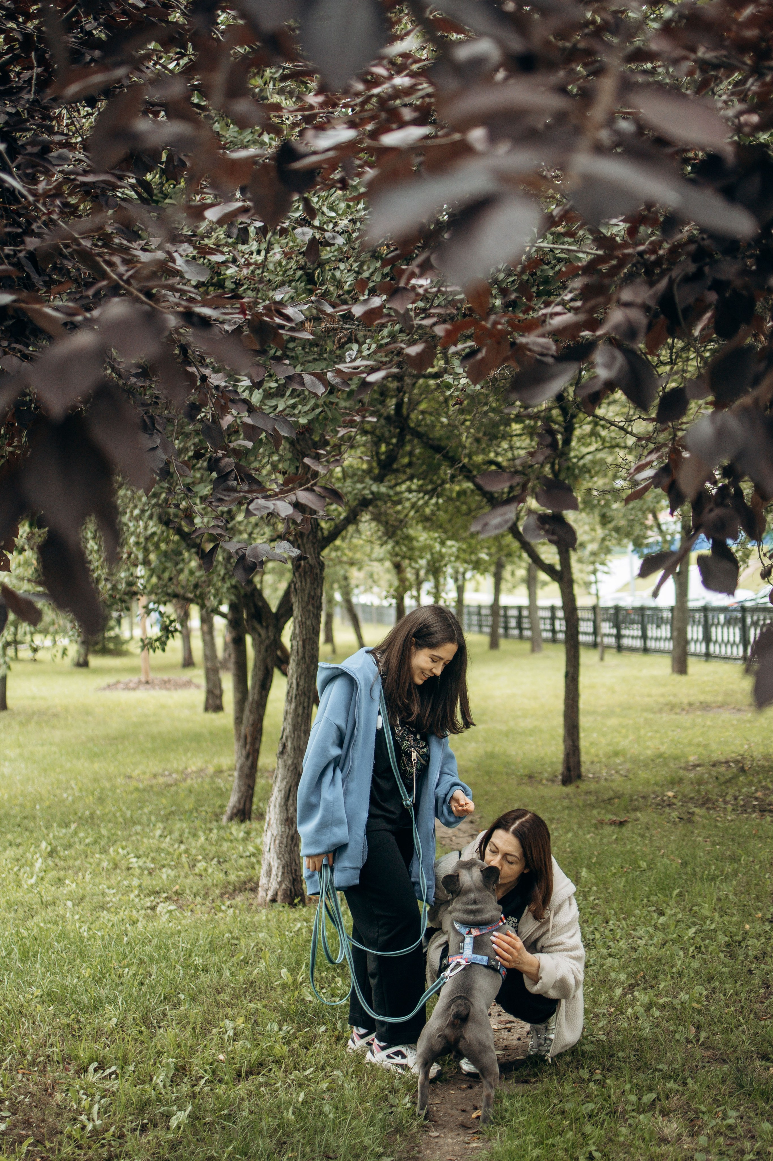 Грей и его семья