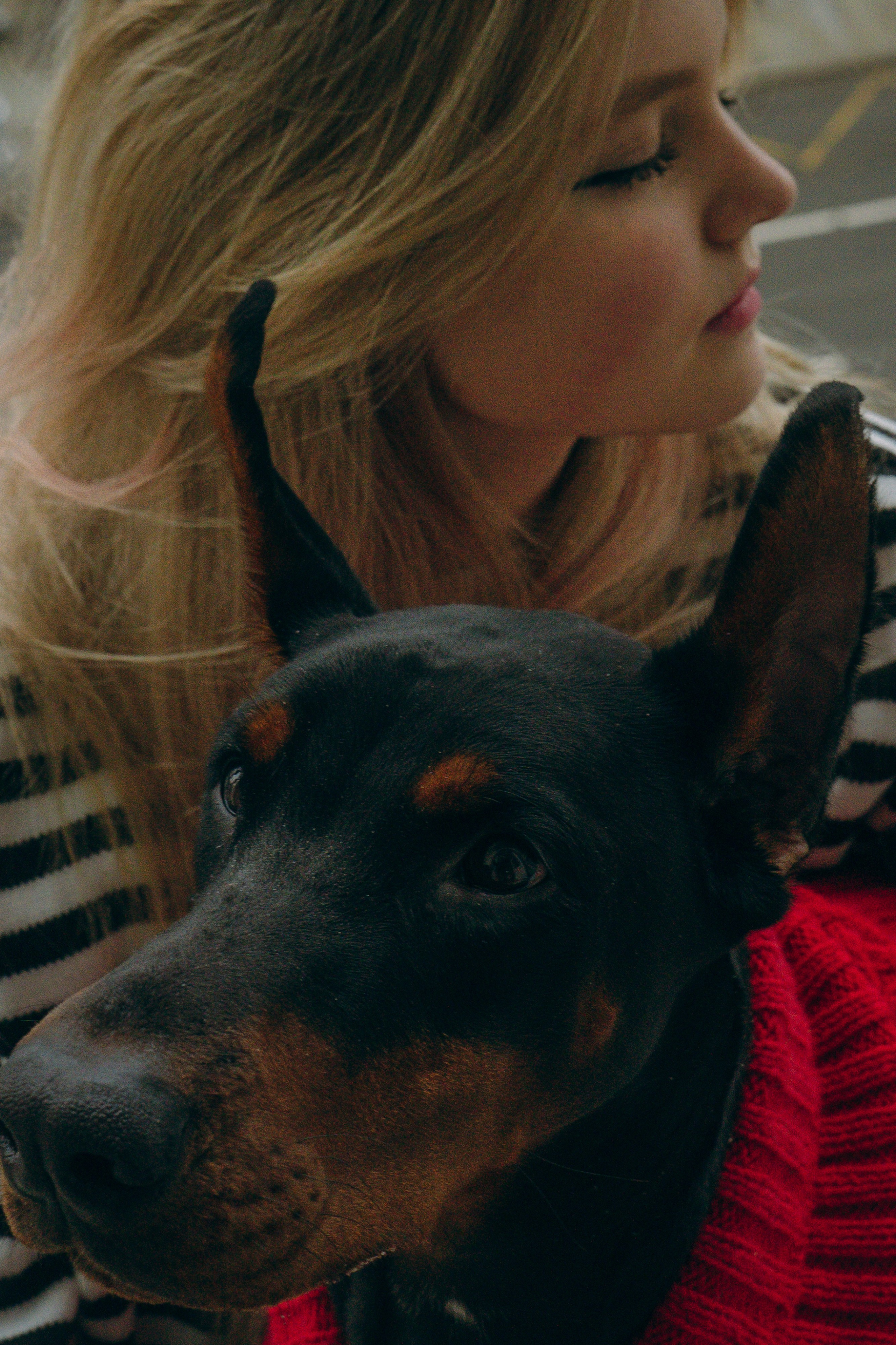 Саша и Асти. Фотограф анималист в Москве и Санкт-Петербурге Свиридова Анна