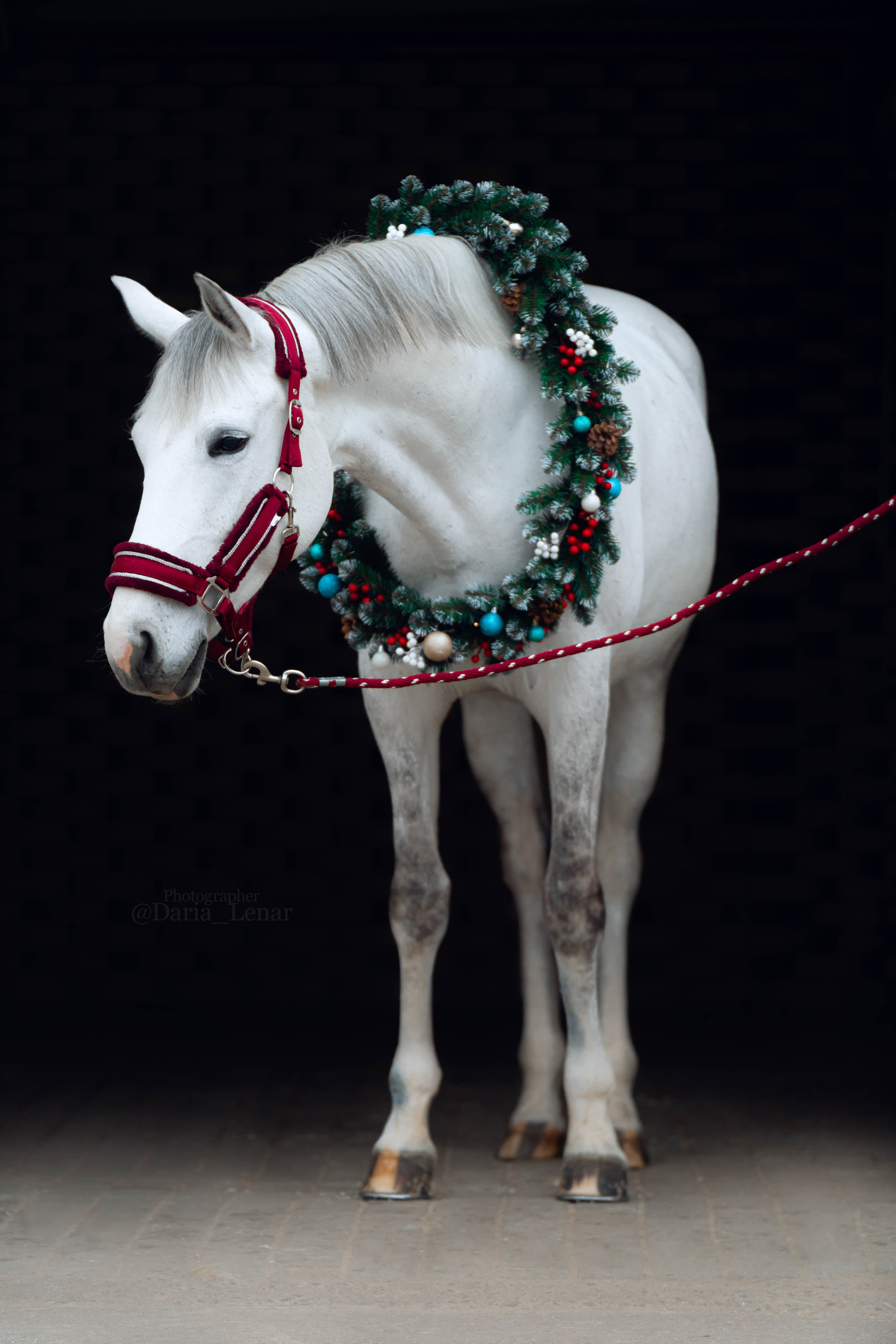 Настя и Луна. Фотограф в Москве Ленарская Дарья