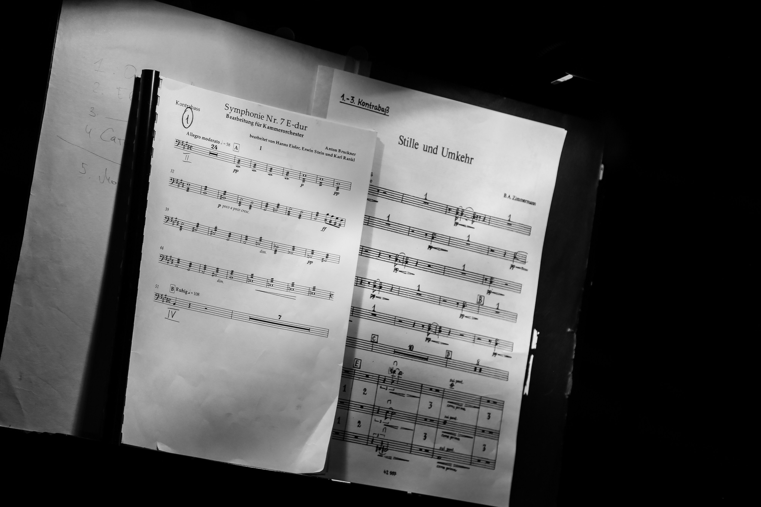 Крещенский фестиваль — 2023. Дарья Письменюк / Darya Leitstern — фотограф, музыкант, журналист, путешественник