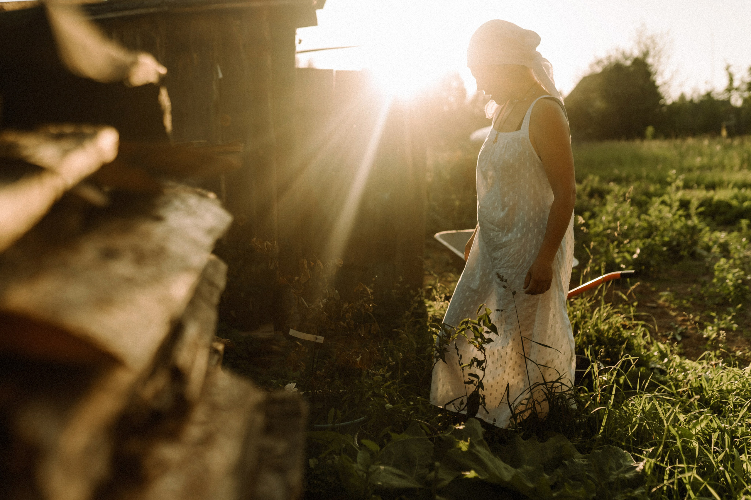 Один день в деревне