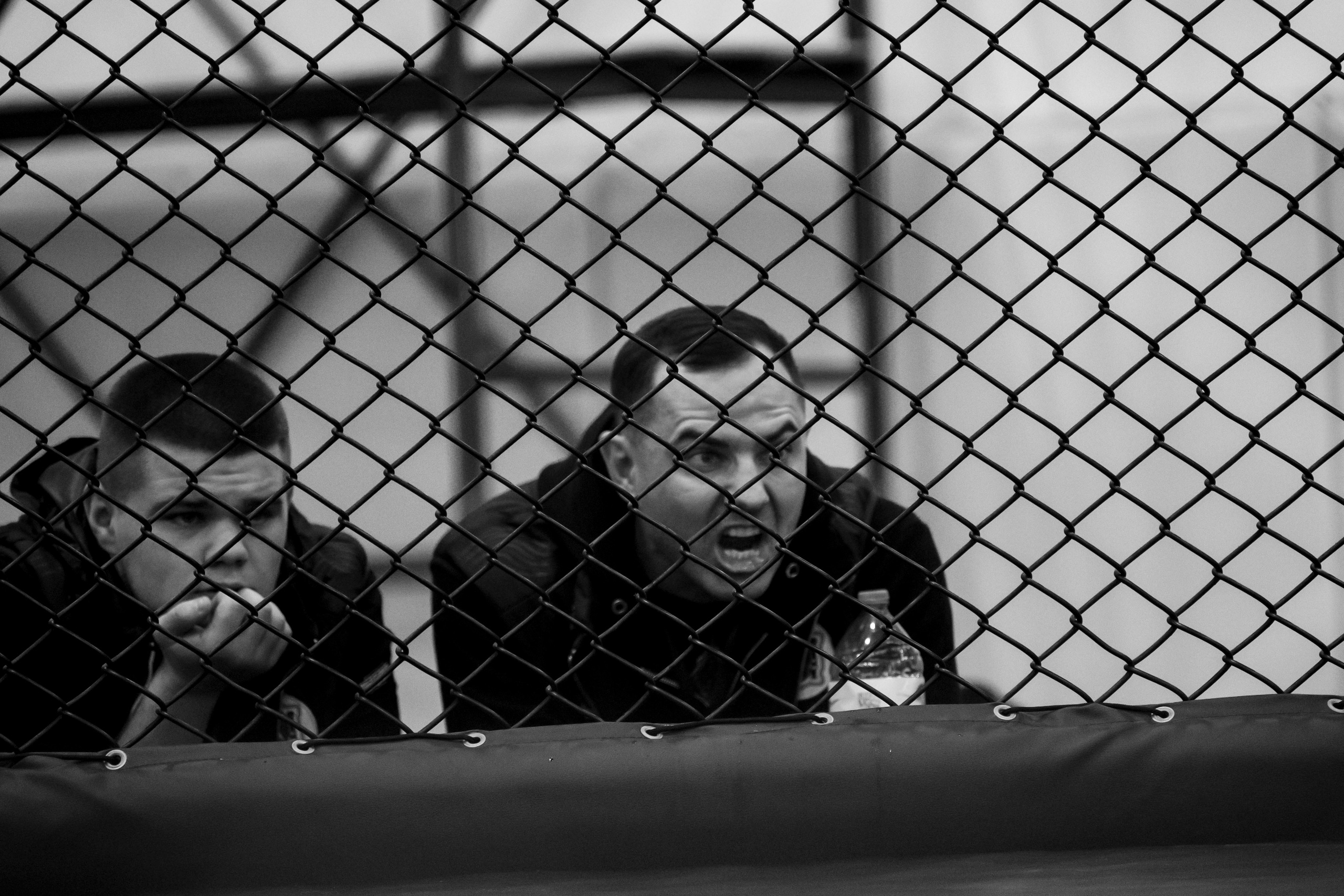 Всероссийский турнир ММА. Новомосковск, ноябрь 2025. Спортивный фотограф в Туле и Тульской области. Файсханова Фото Спорт