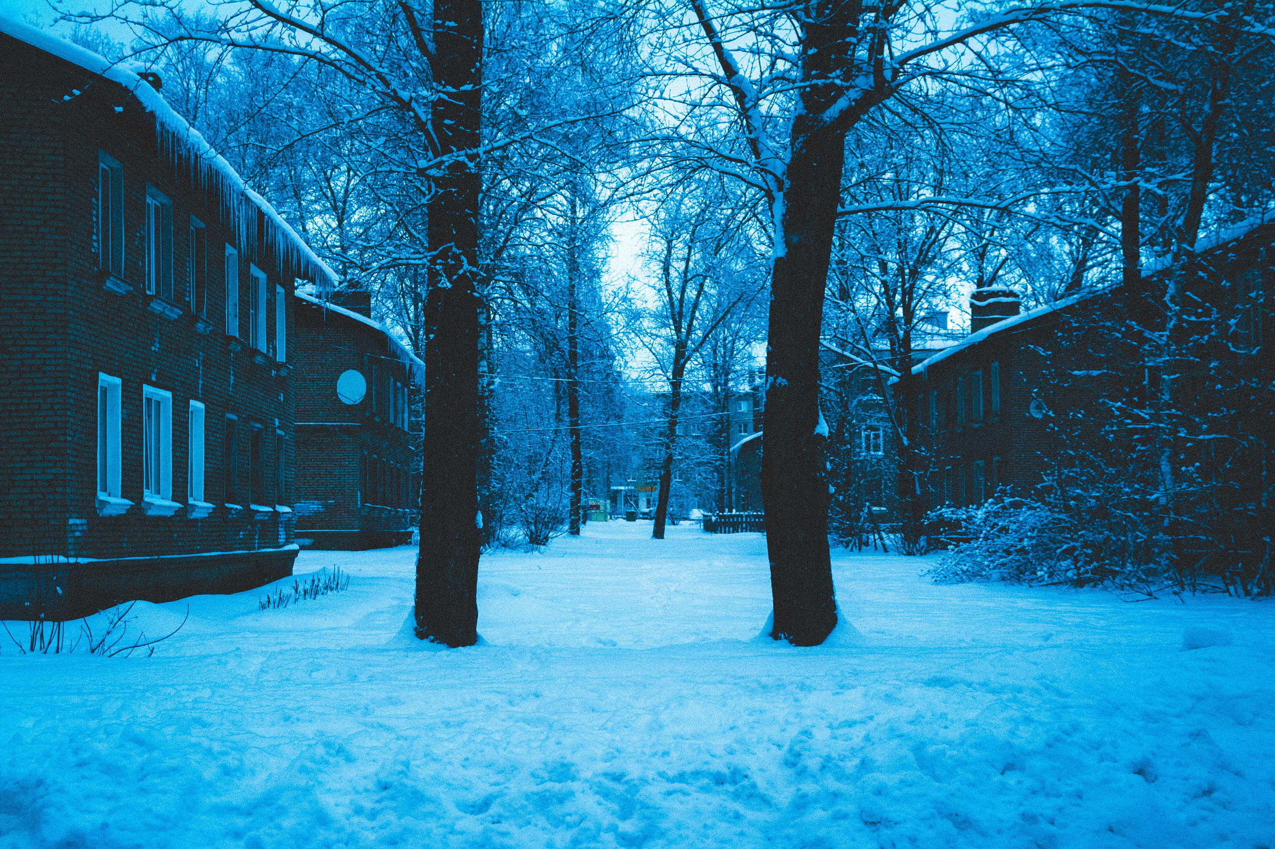 24.35. Den Mirov — Photographer, Musician