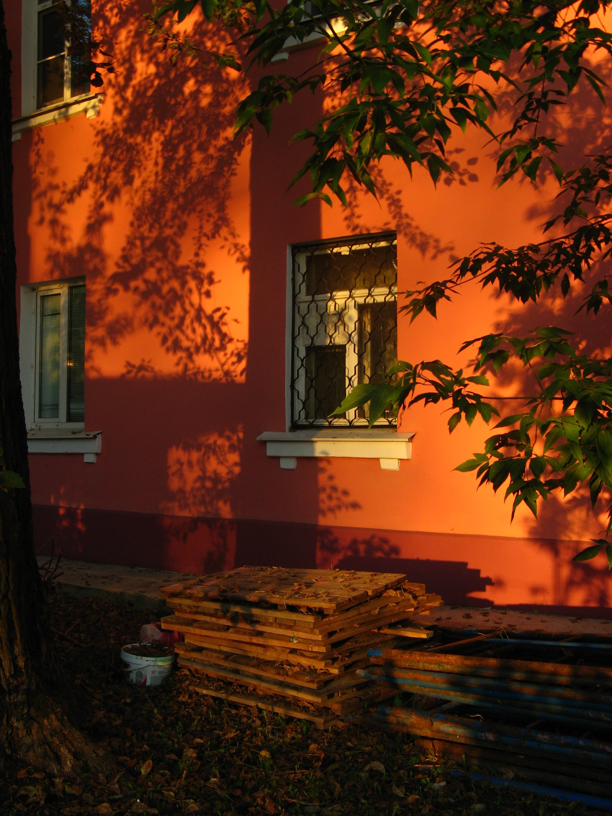 Сентябрь 2025. Den Mirov — Фотограф, Музыкант