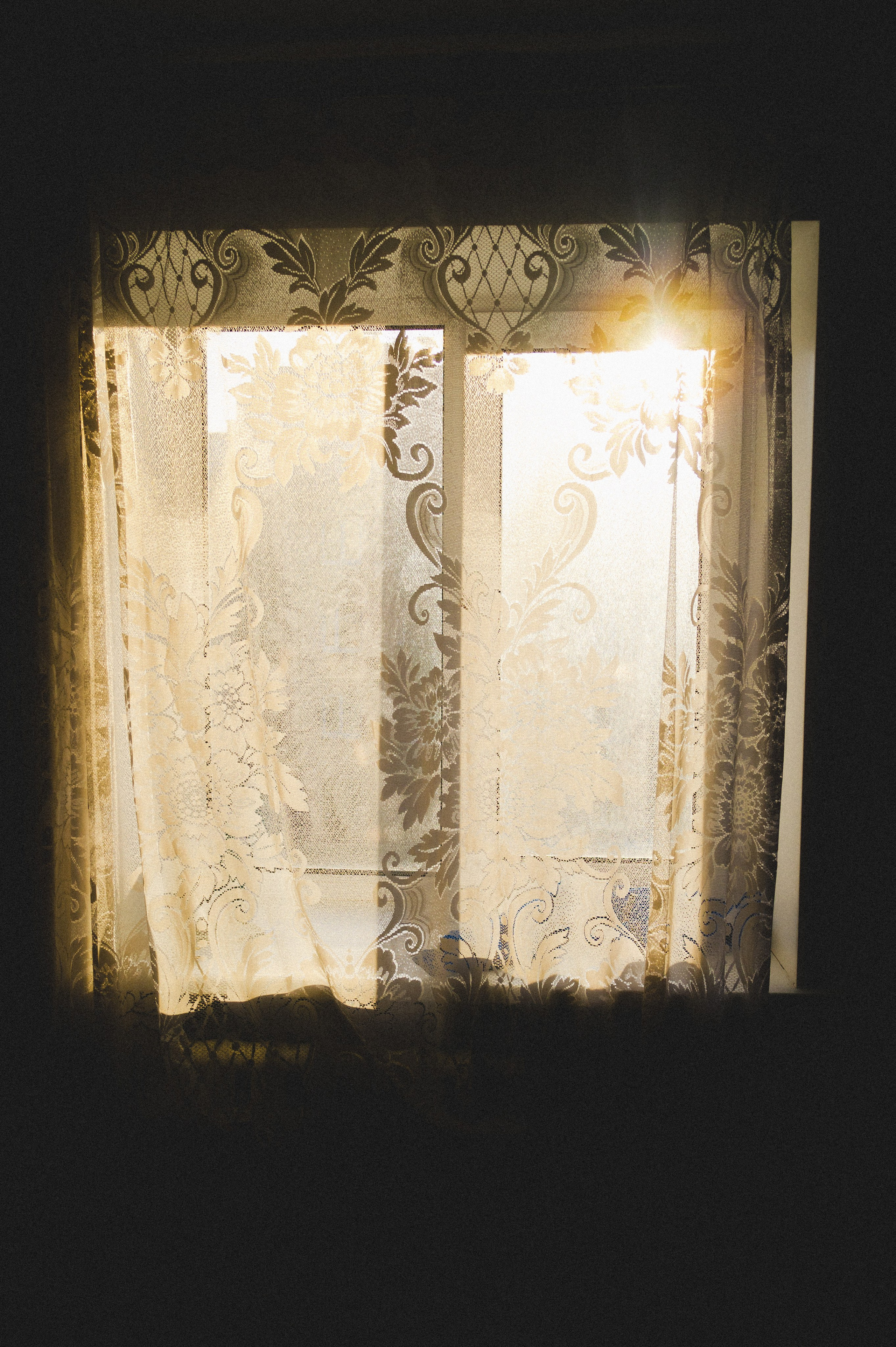 Ноябрь 2025. Den Mirov — Фотограф, Музыкант