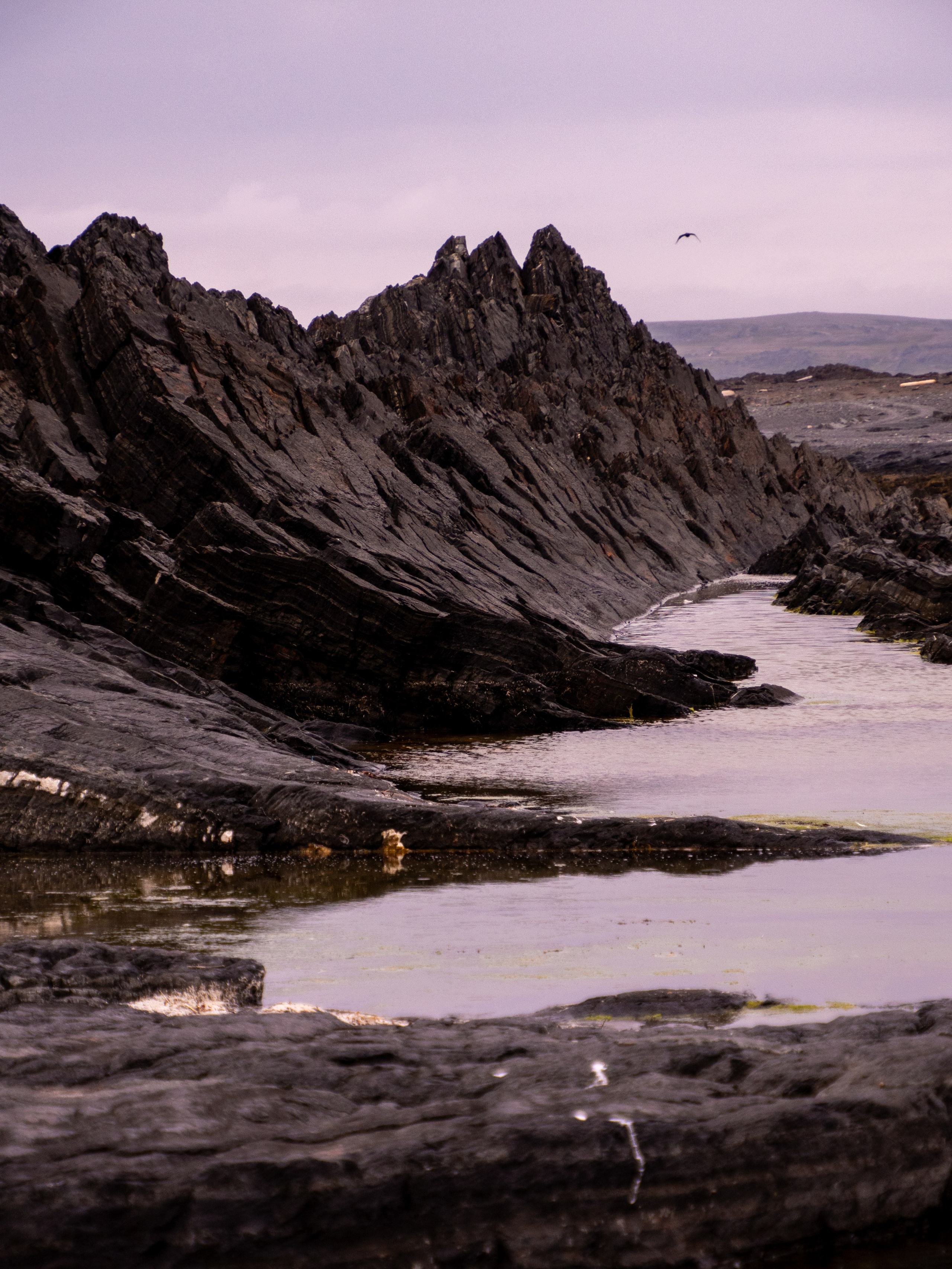 Полуостров Рыбачий. Фотограф Александр Головин