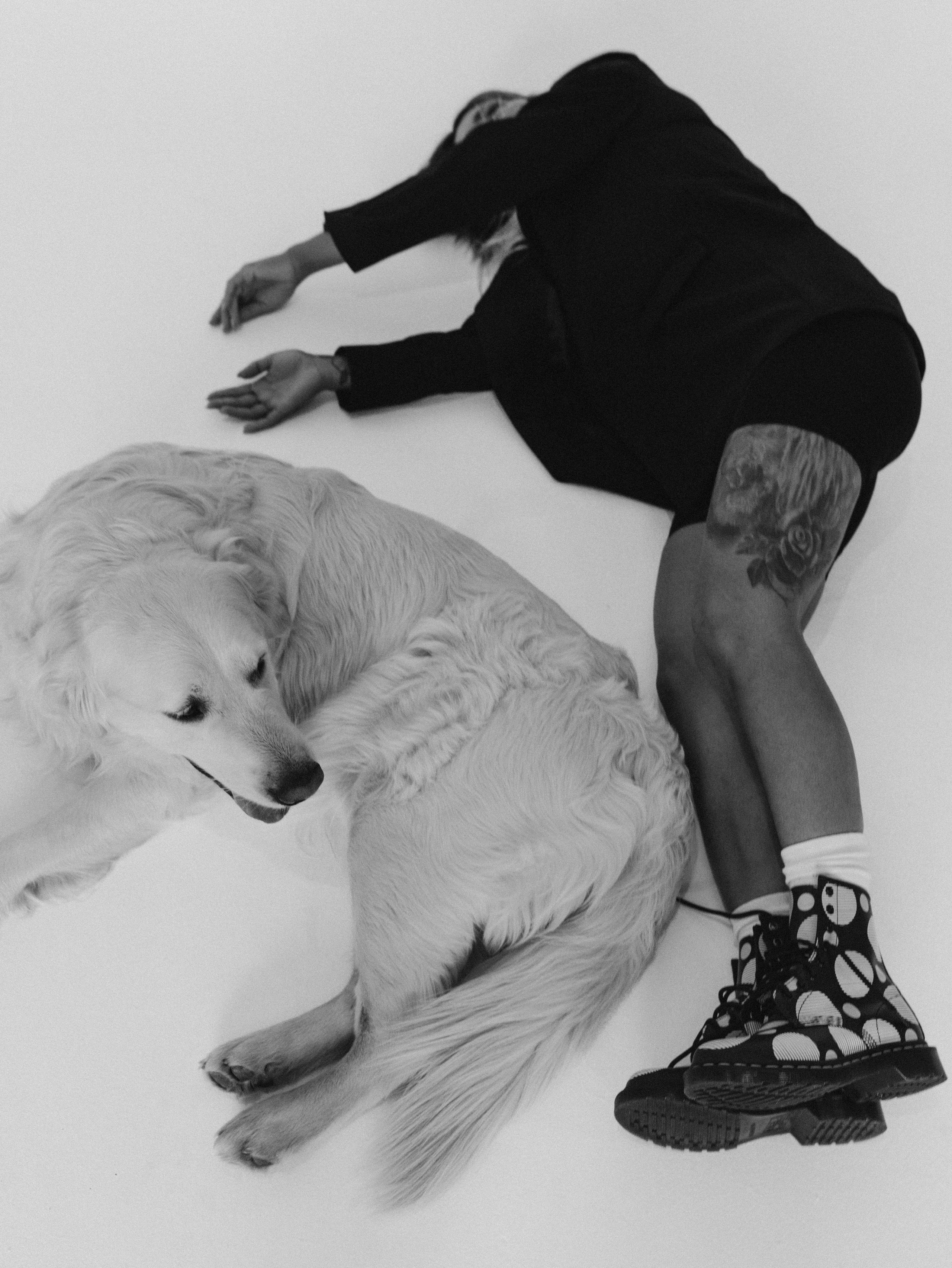 Энди и Настя. Фотограф-анималист в Москве Кириллова Татьяна