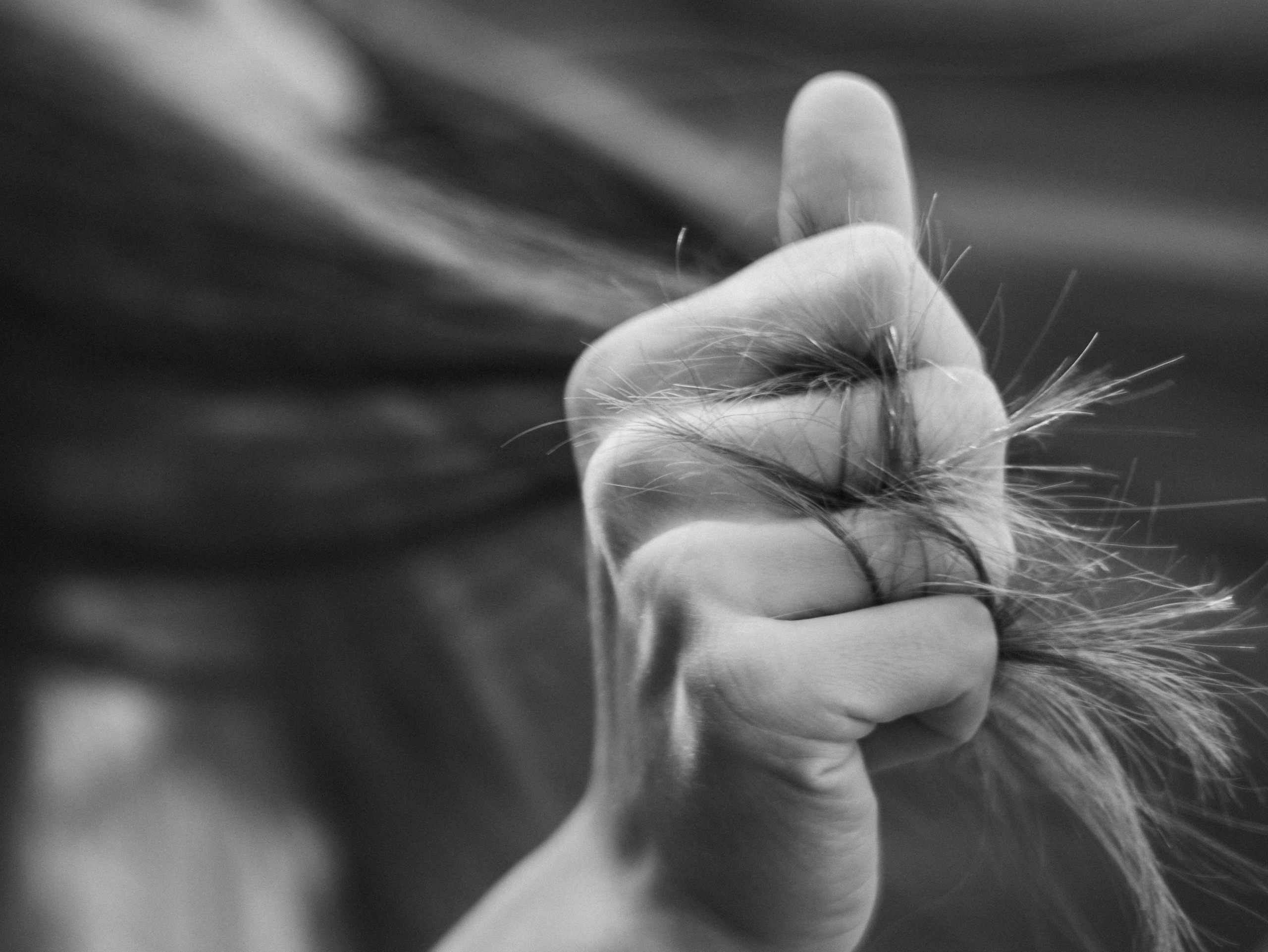 Алёна. Фотограф-анималист в Москве Кириллова Татьяна