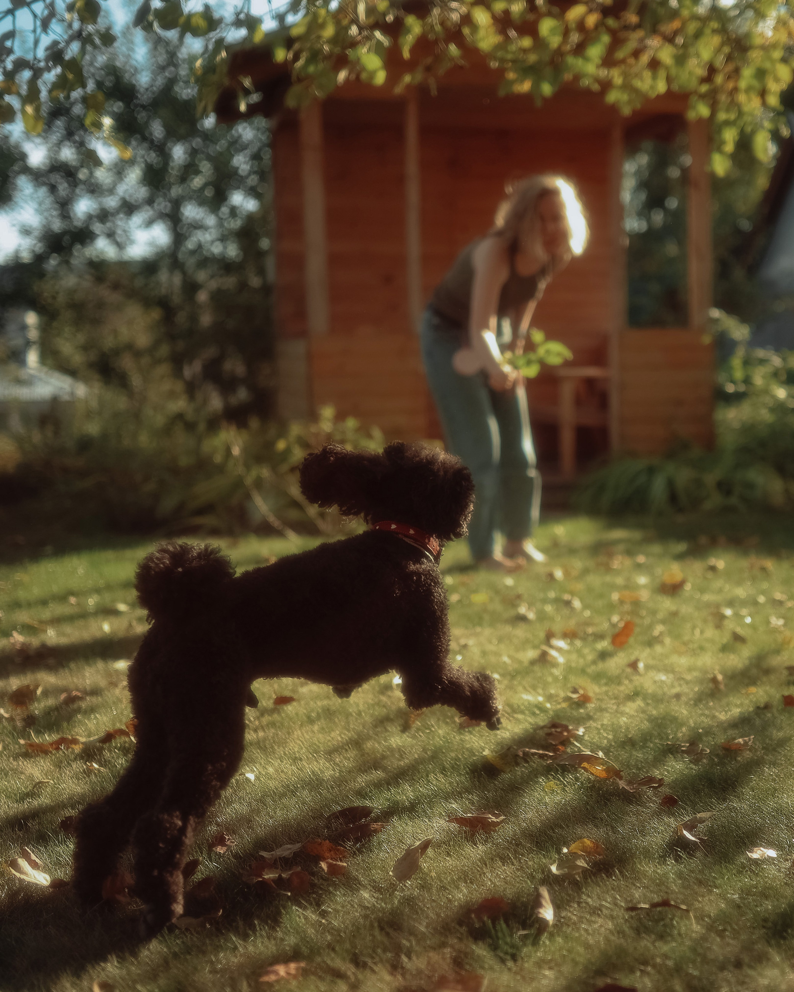 Дача. Фотограф в Самаре Катерина Винокурова. Документальная репортажная съемка лавстори и мероприятий