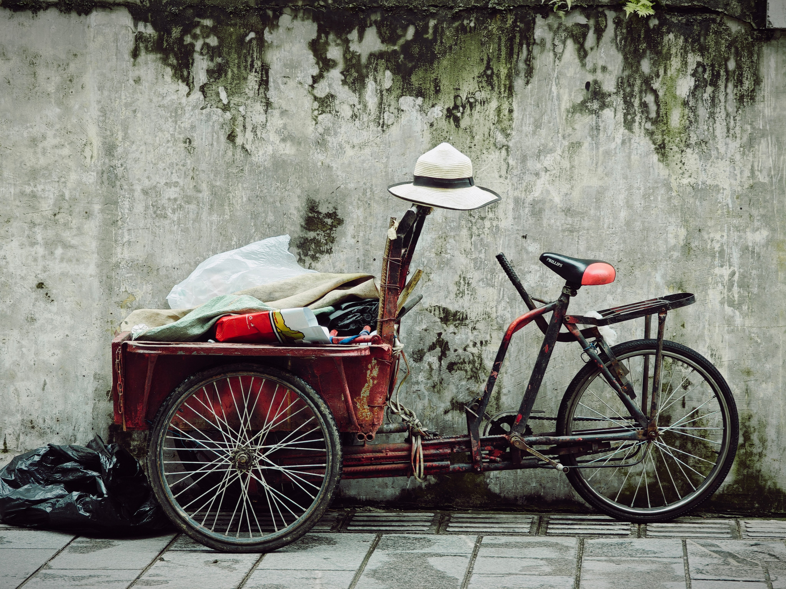 The Great Journey to China. Brjankin.com