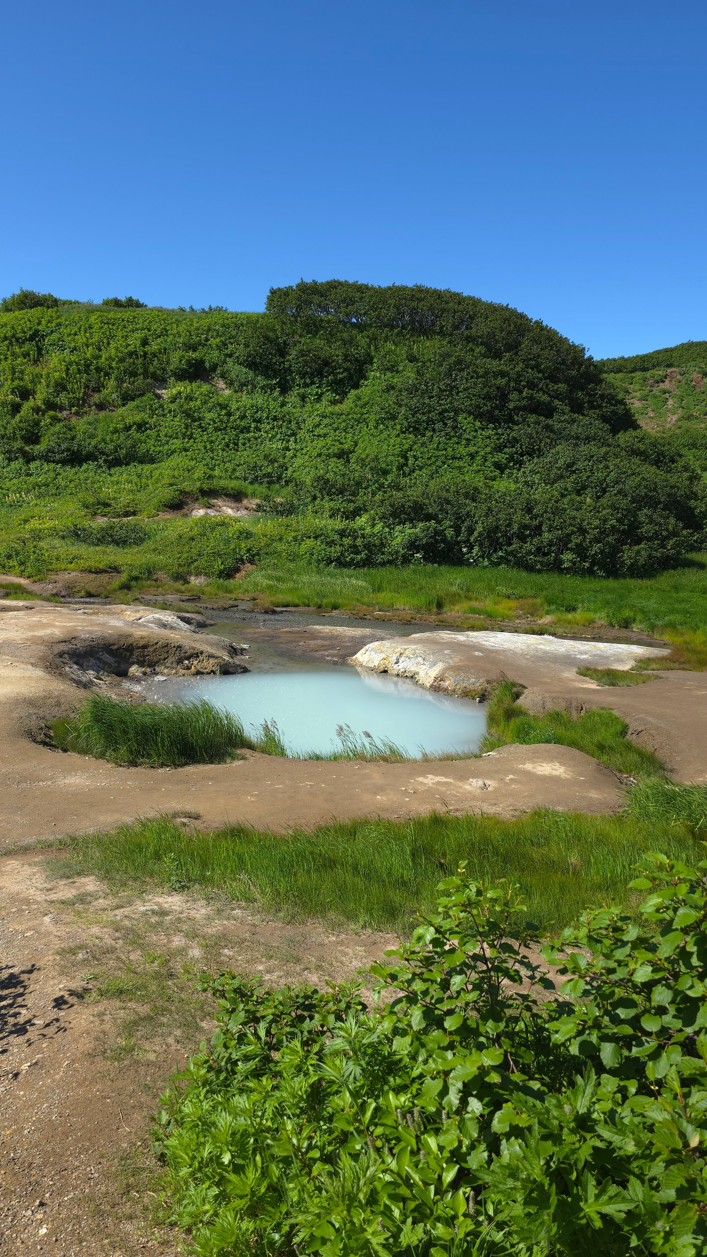 Дачные источники (Малая долина гейзеров) + водопад Снежный барс. Экскурсионные туры по Камчатке