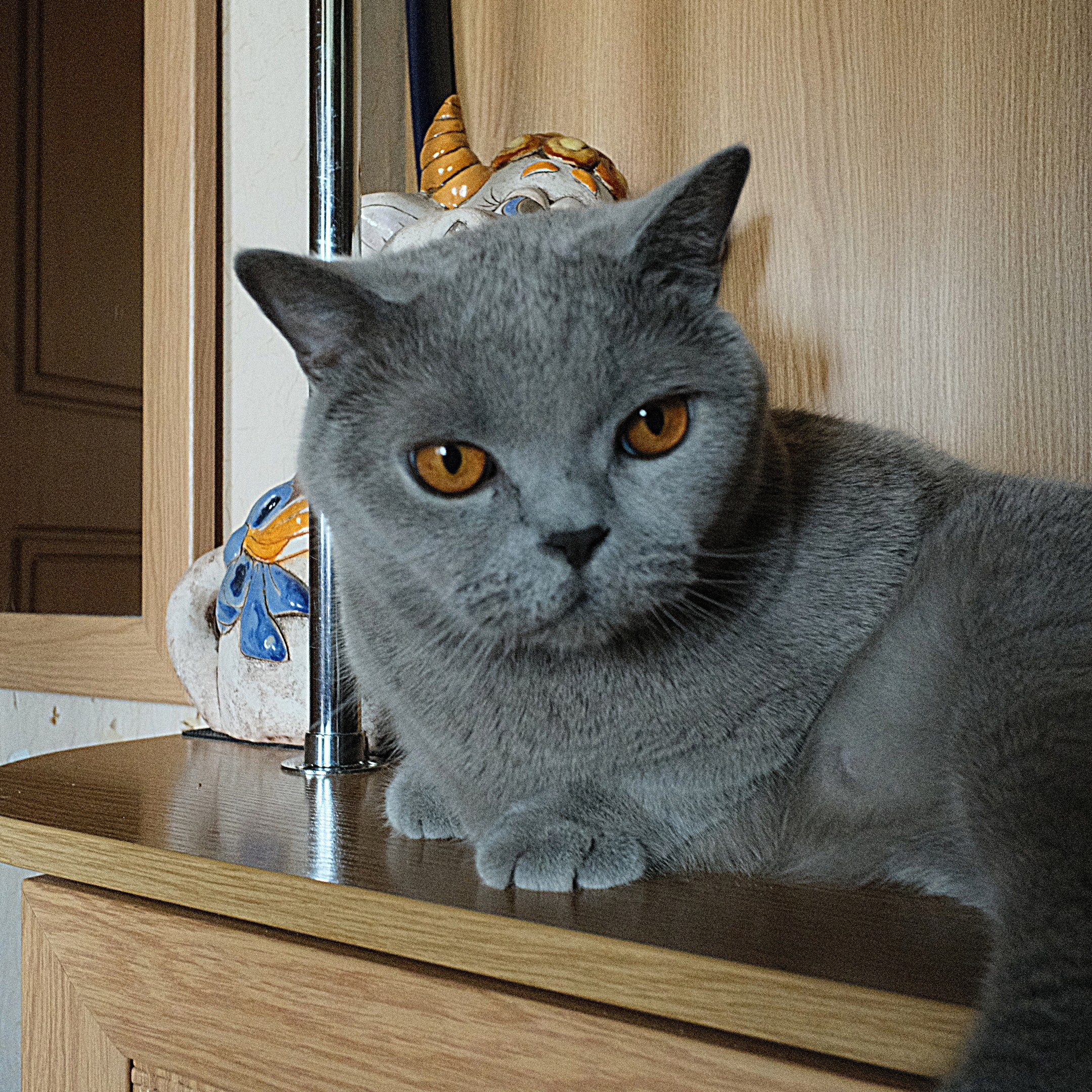Улица, люди, жизнь…