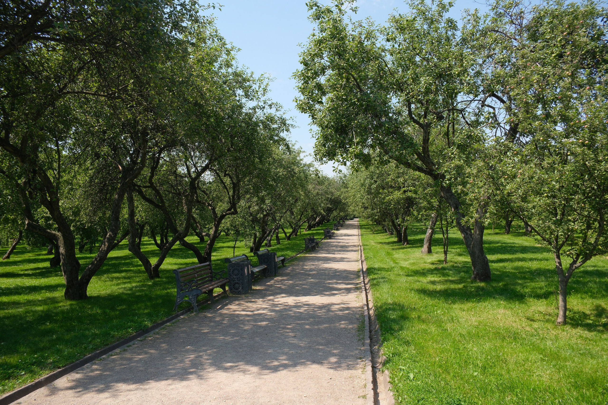 В Коломенском 07.07.2025. Улица, люди, жизнь…