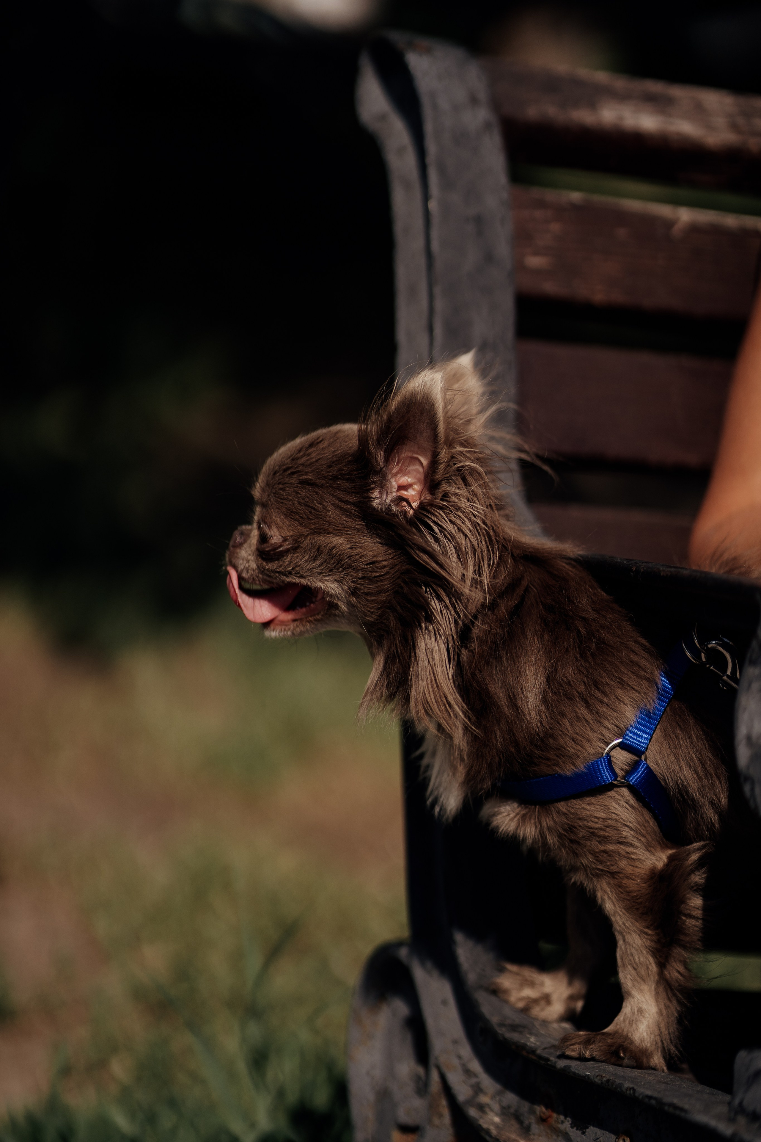 Аида. Мира Назарова / Фотограф / Специалист по личному