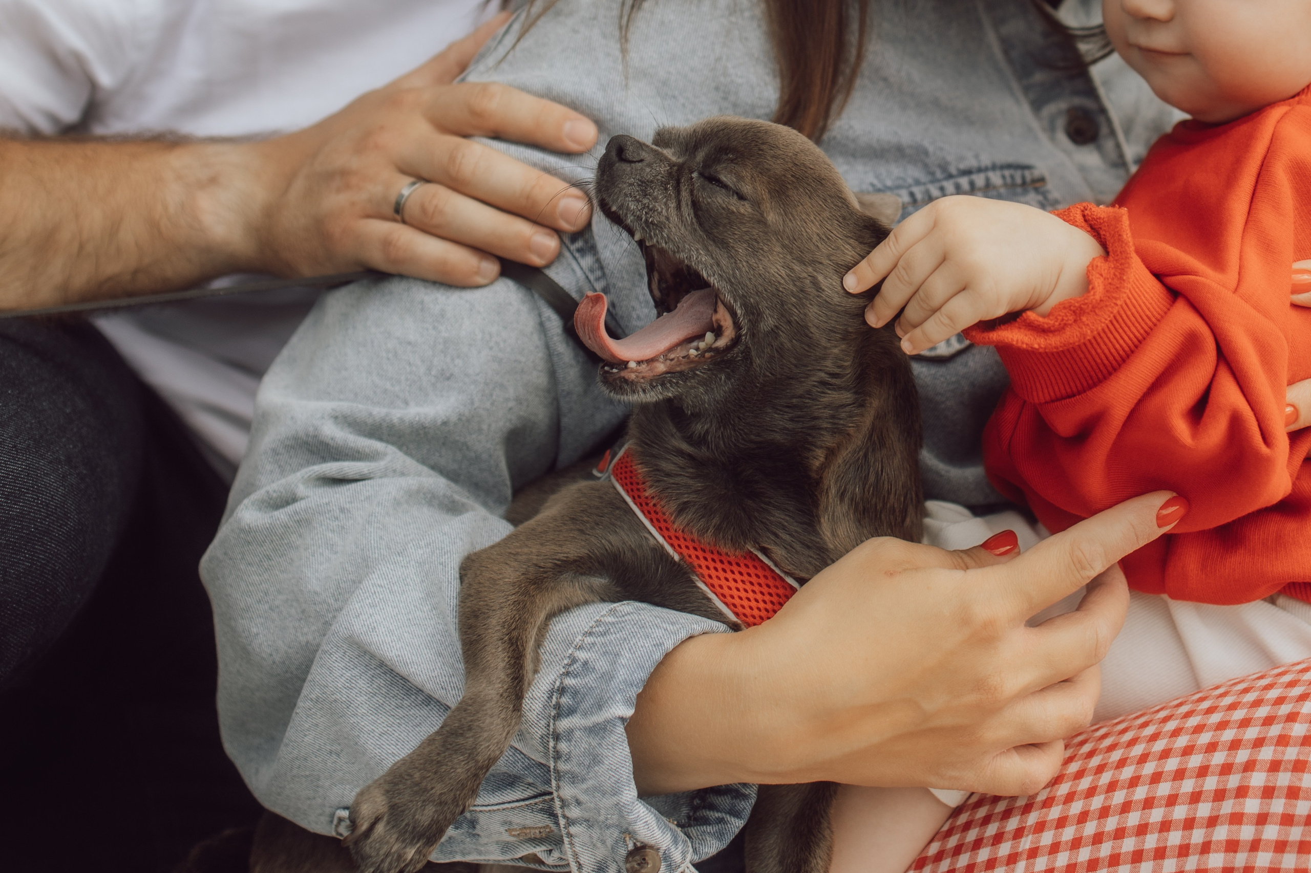  ньюборн, пушкин, павловск, спб, семейная фотосессия, семейная съёмка, мама и дочка, фотосессия на природе, фотосессия на улице