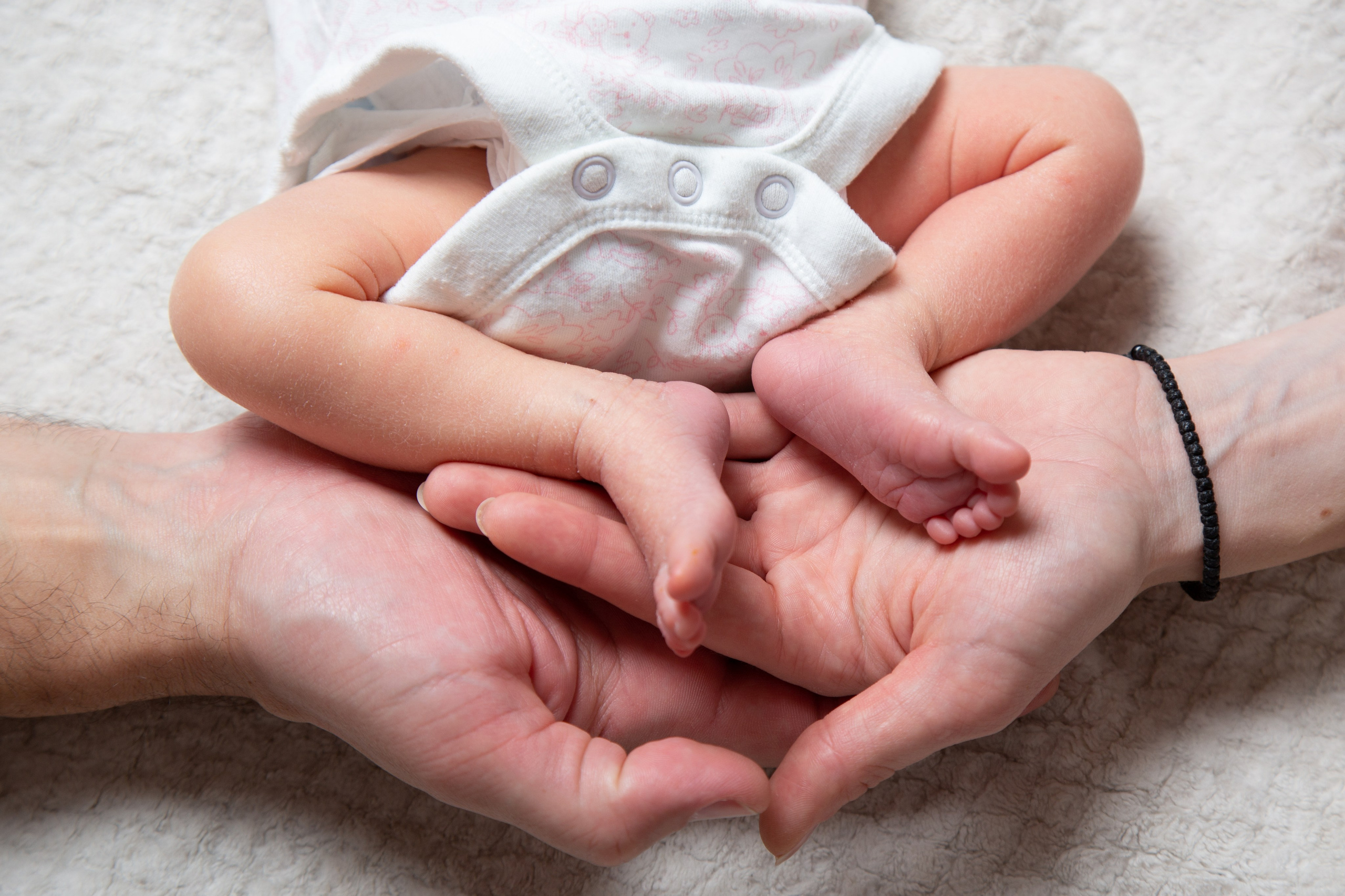 Семья Живаго. Krylovaphoto